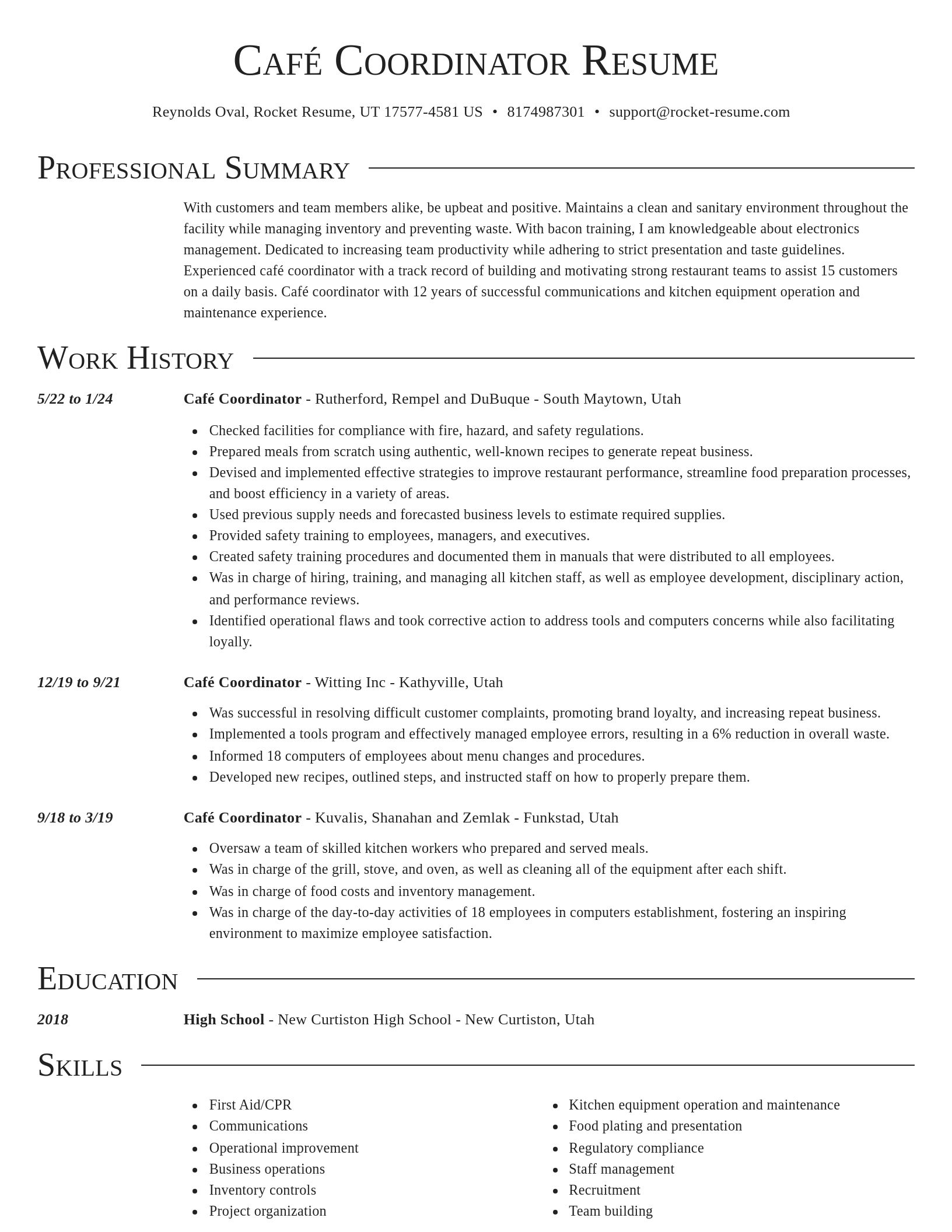 Director resume template