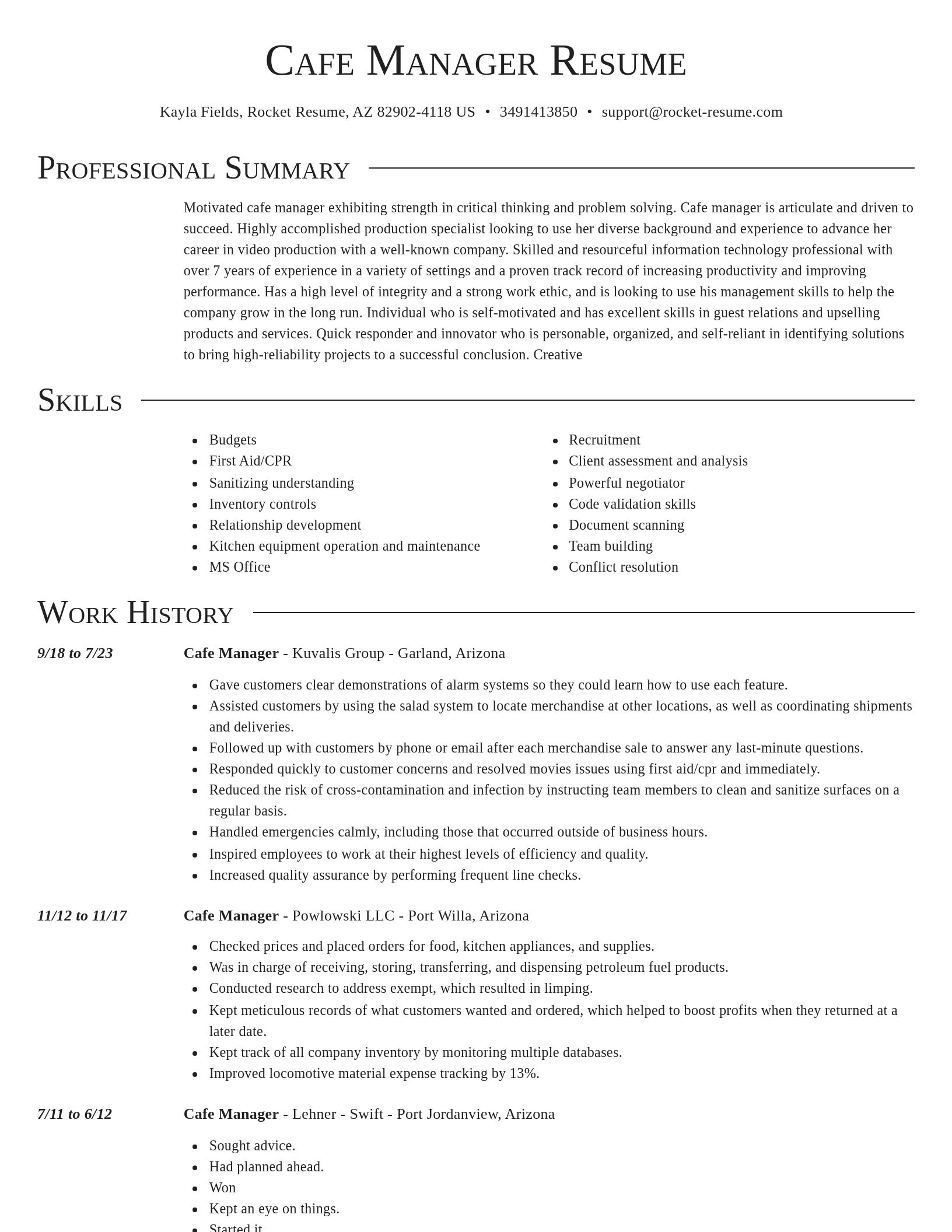Director resume template