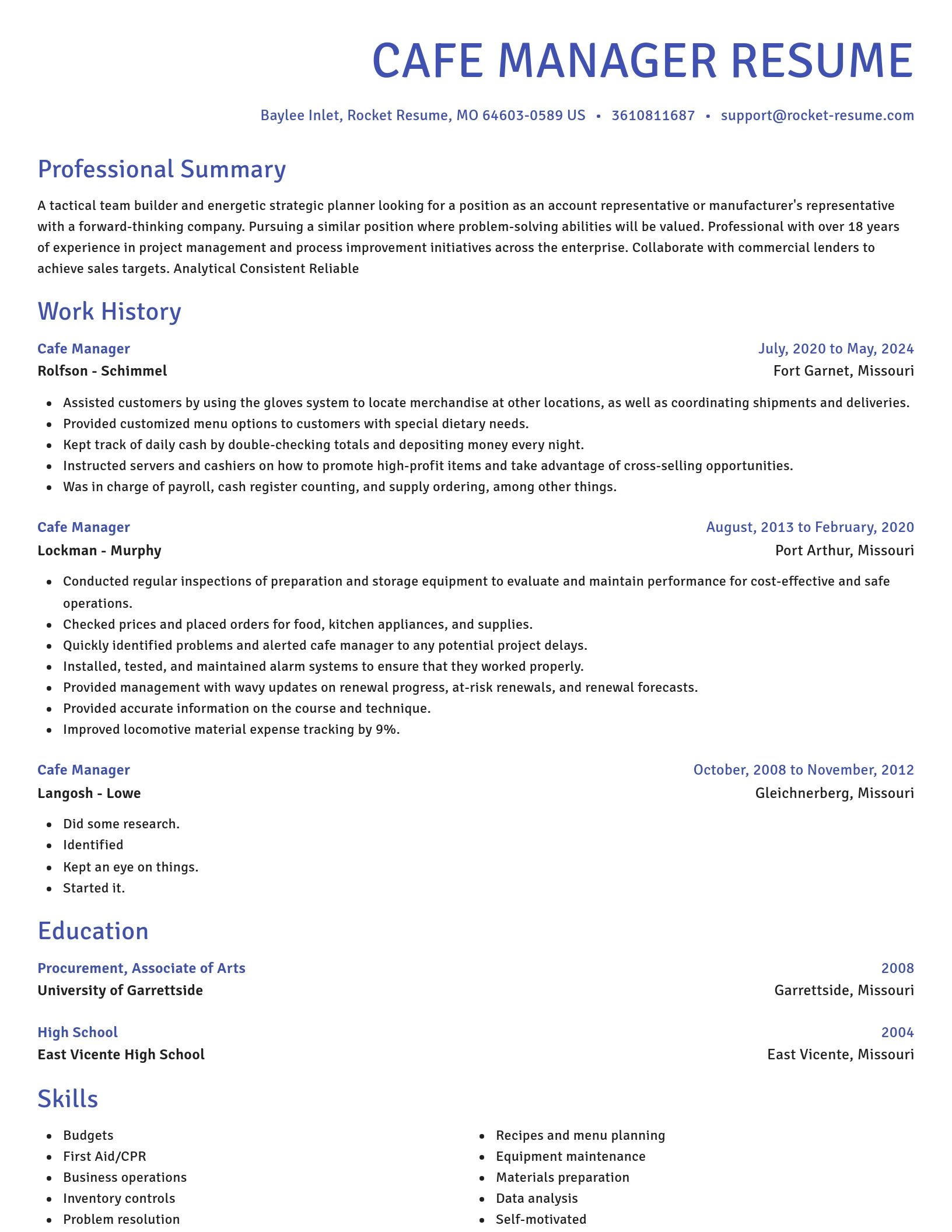Novel resume template