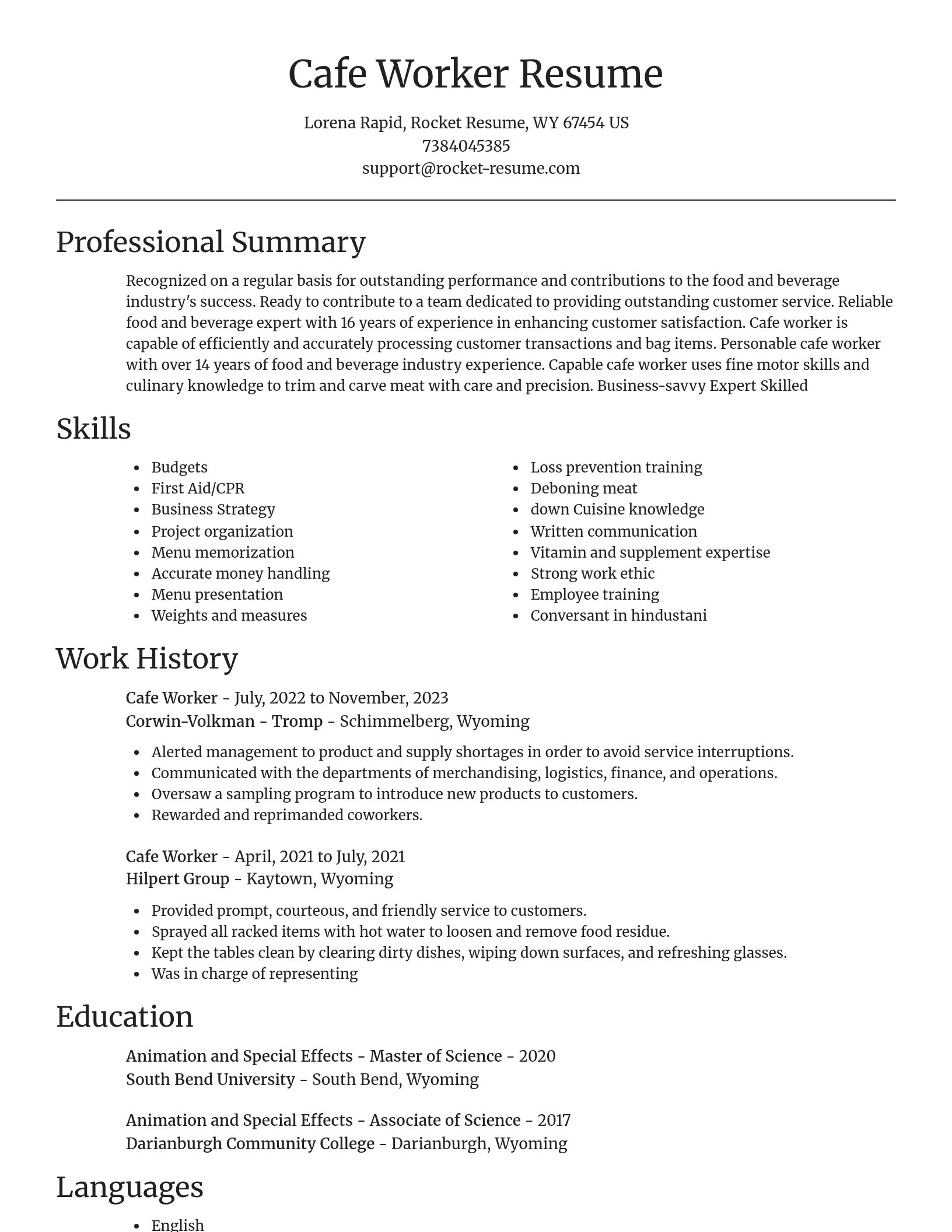 Focal Point resume template