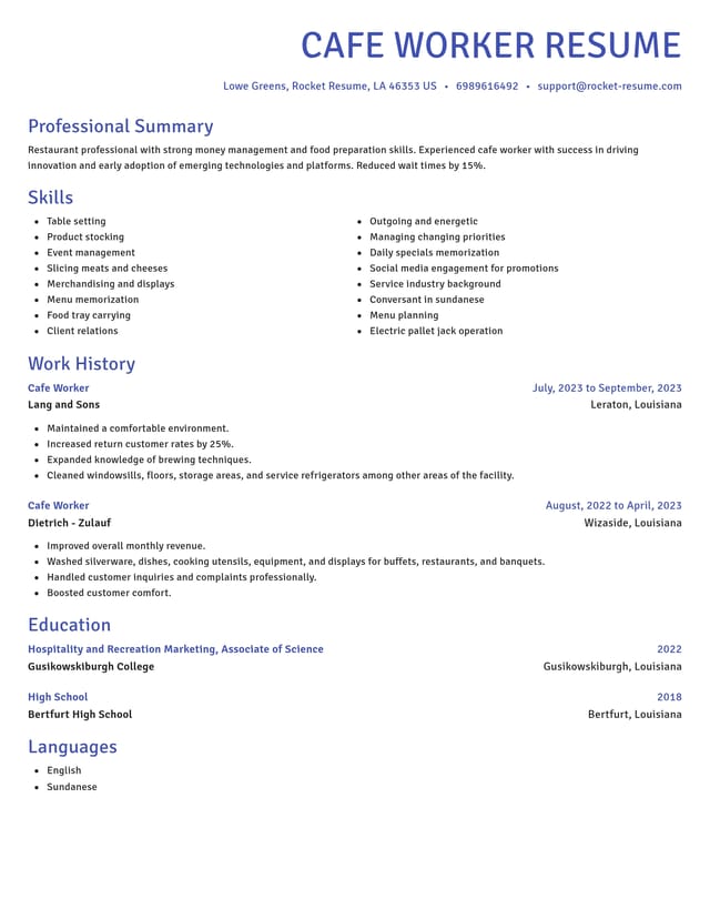 Novel resume template