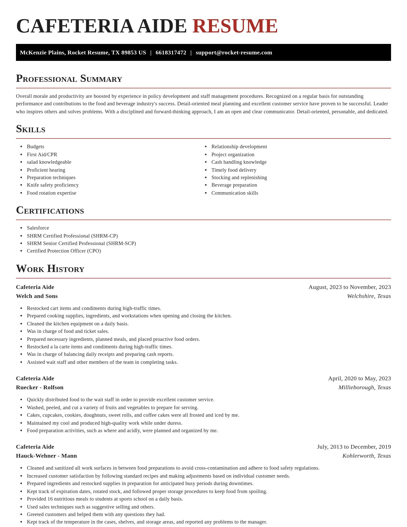 Exquisite resume template