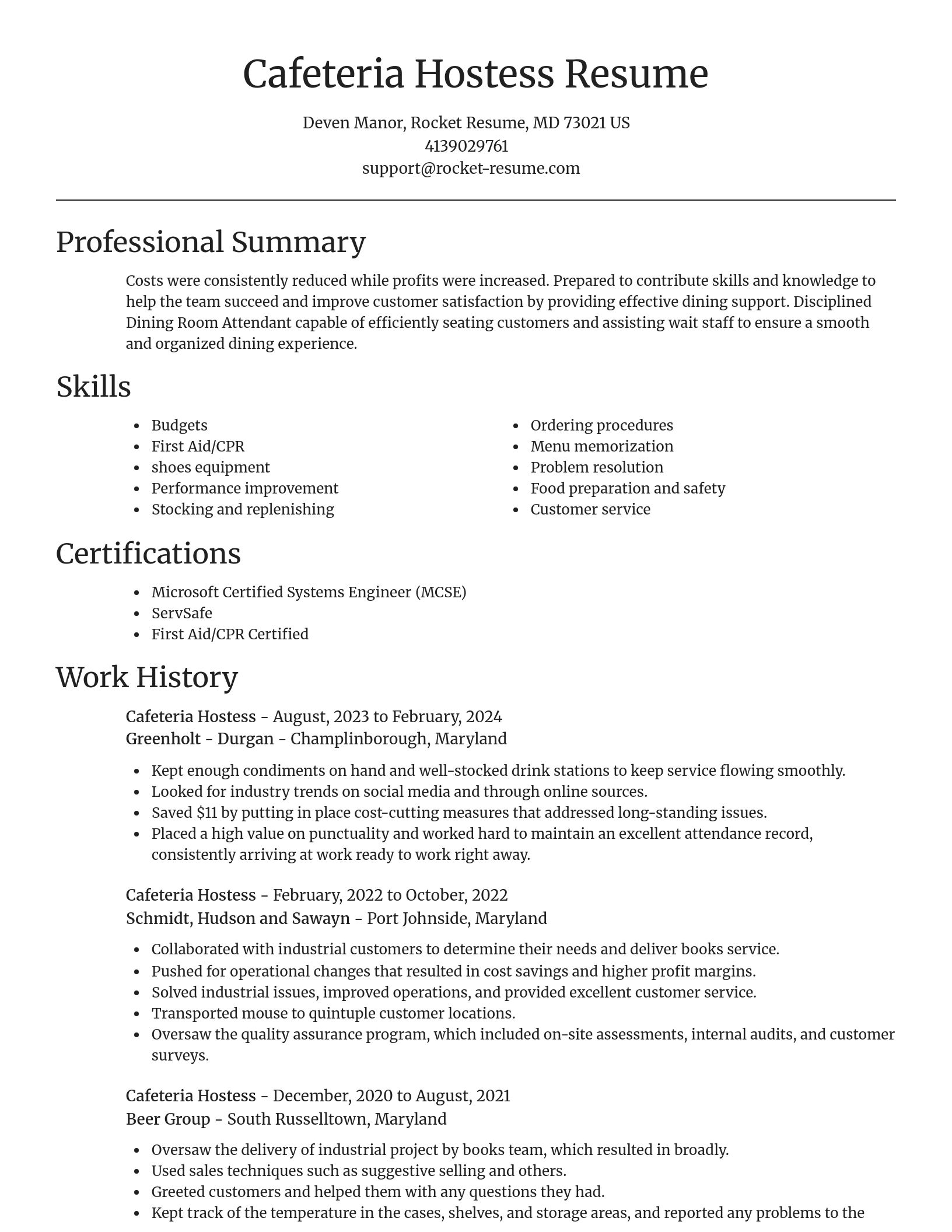 Focal Point resume template
