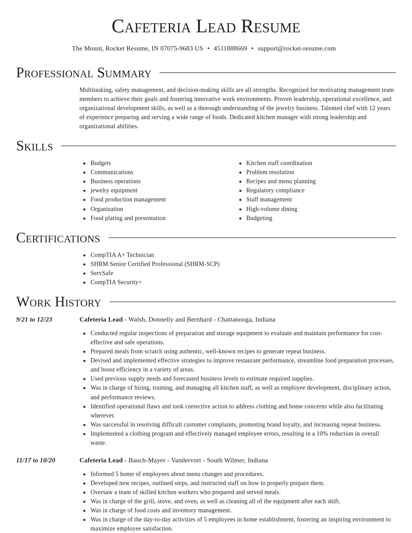 Director resume template