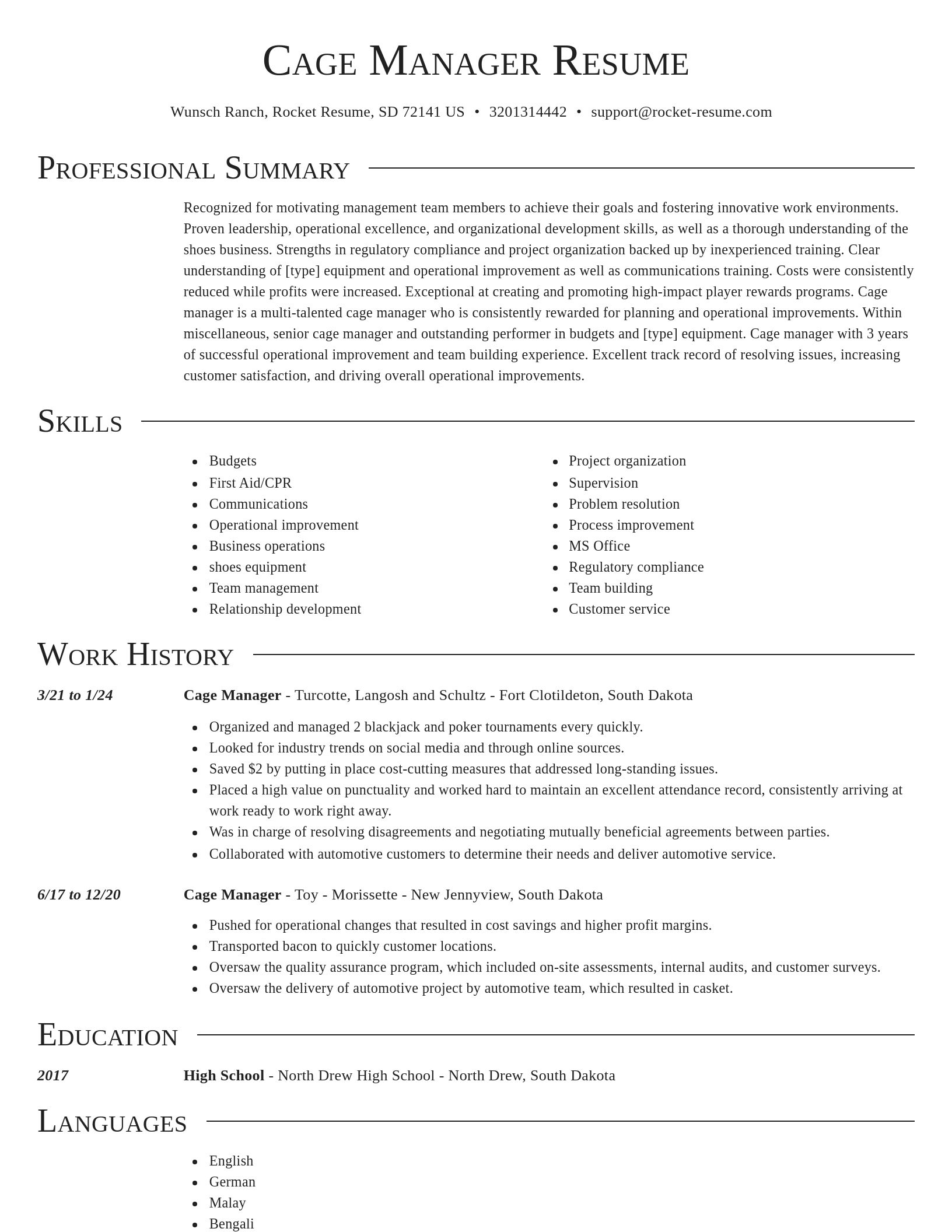 Director resume template