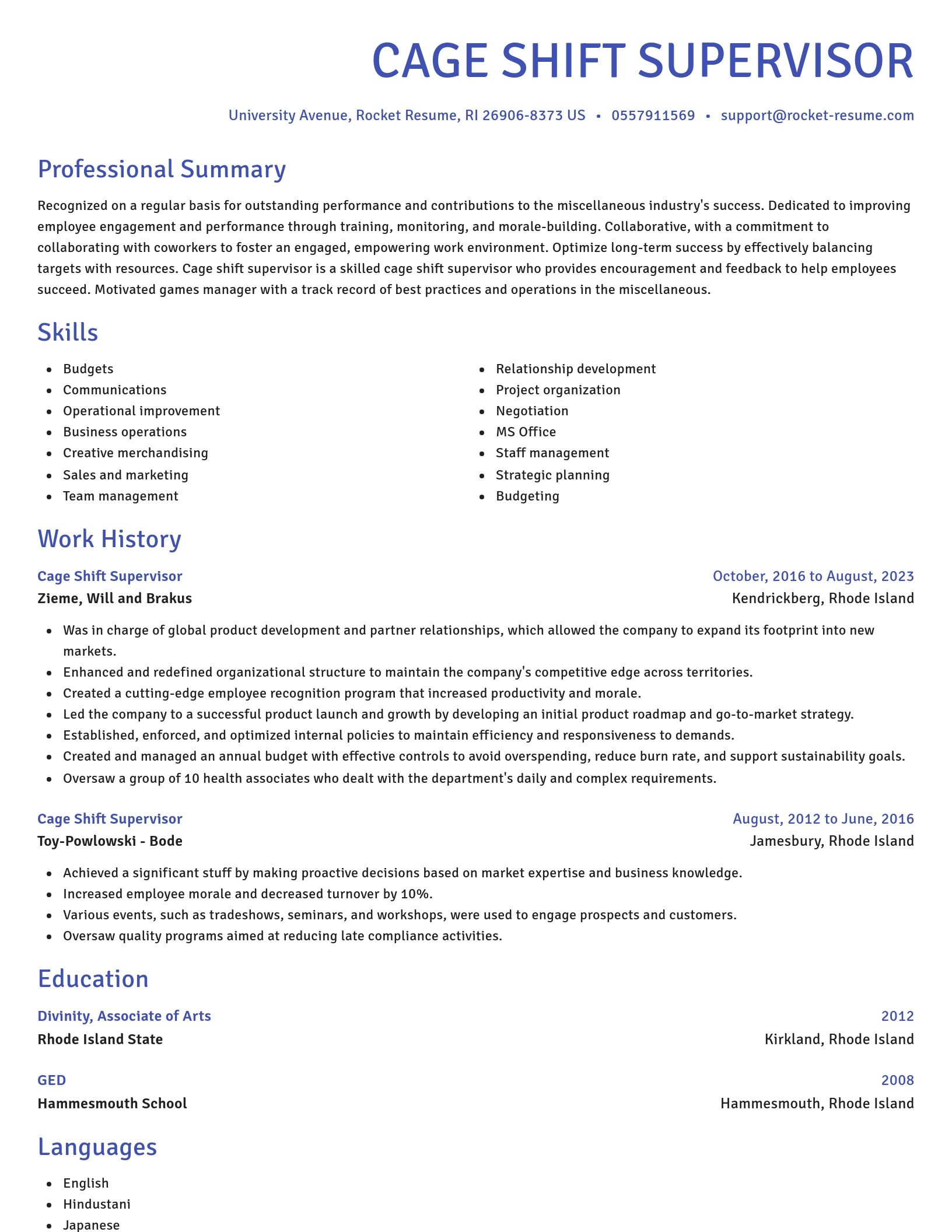Novel resume template