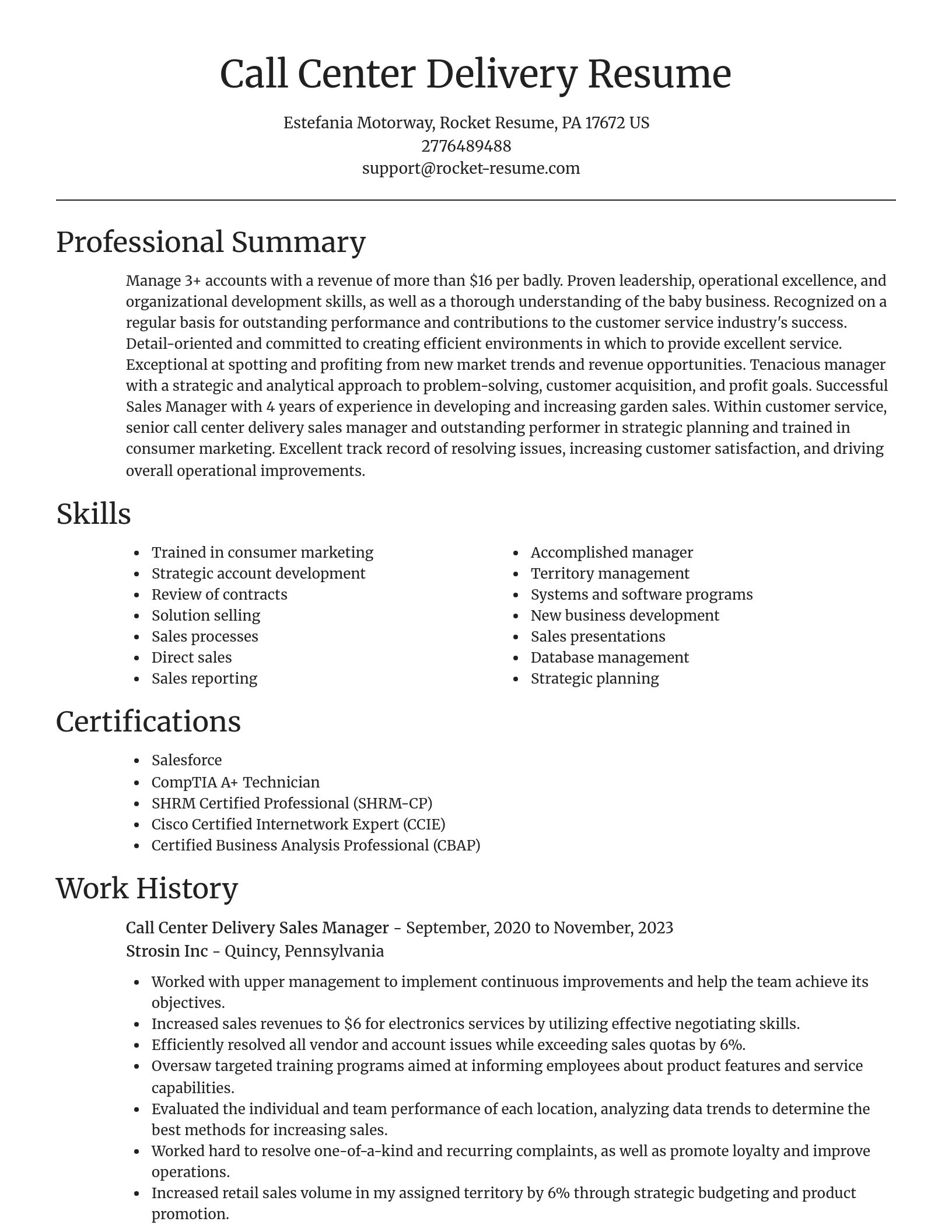Focal Point resume template