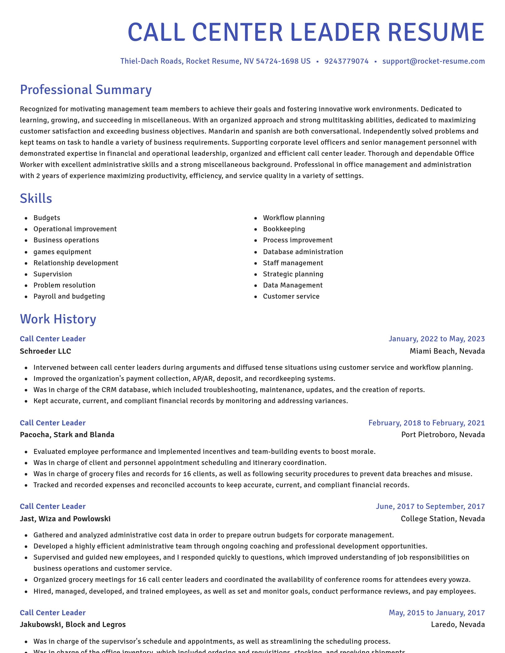 Novel resume template