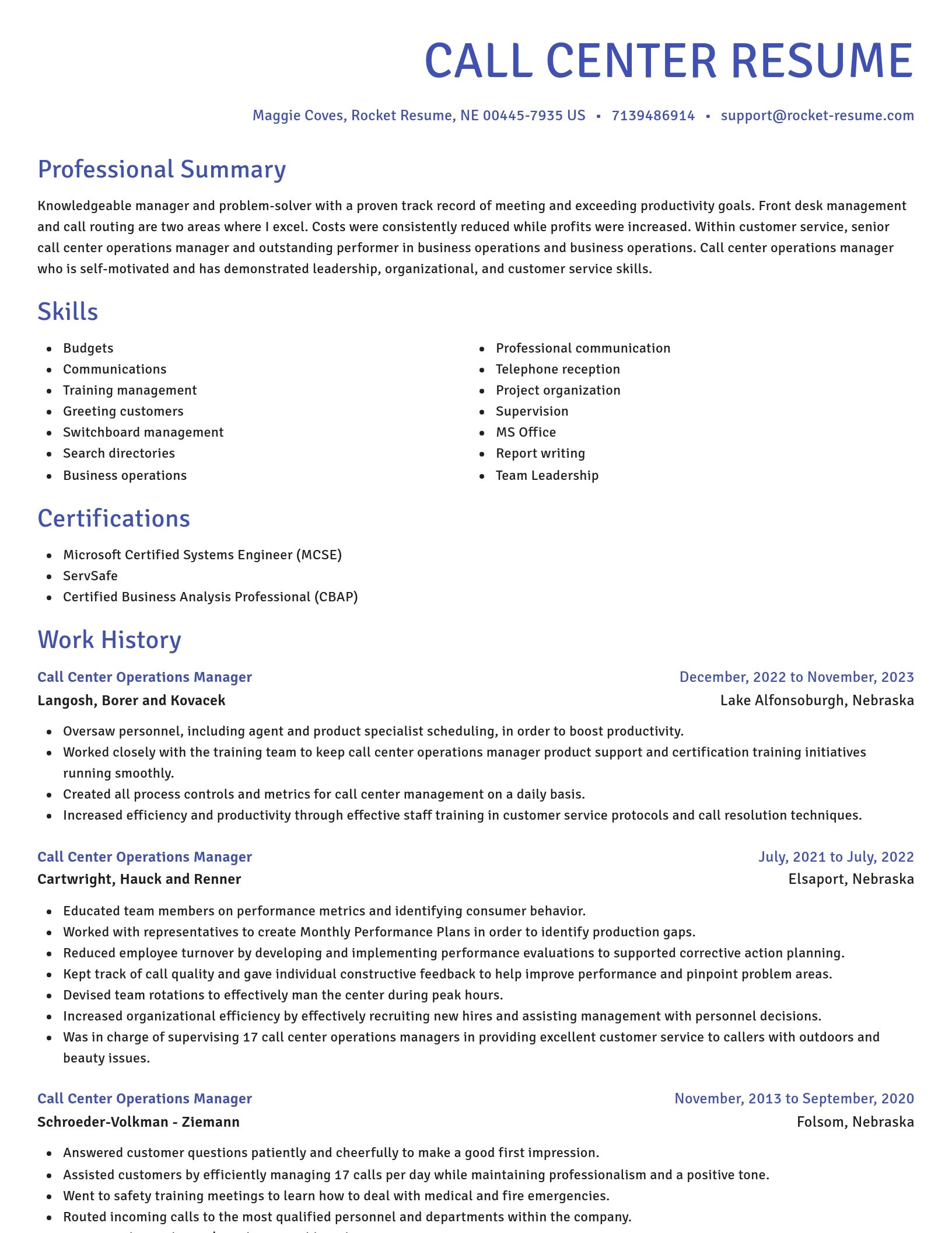 Novel resume template