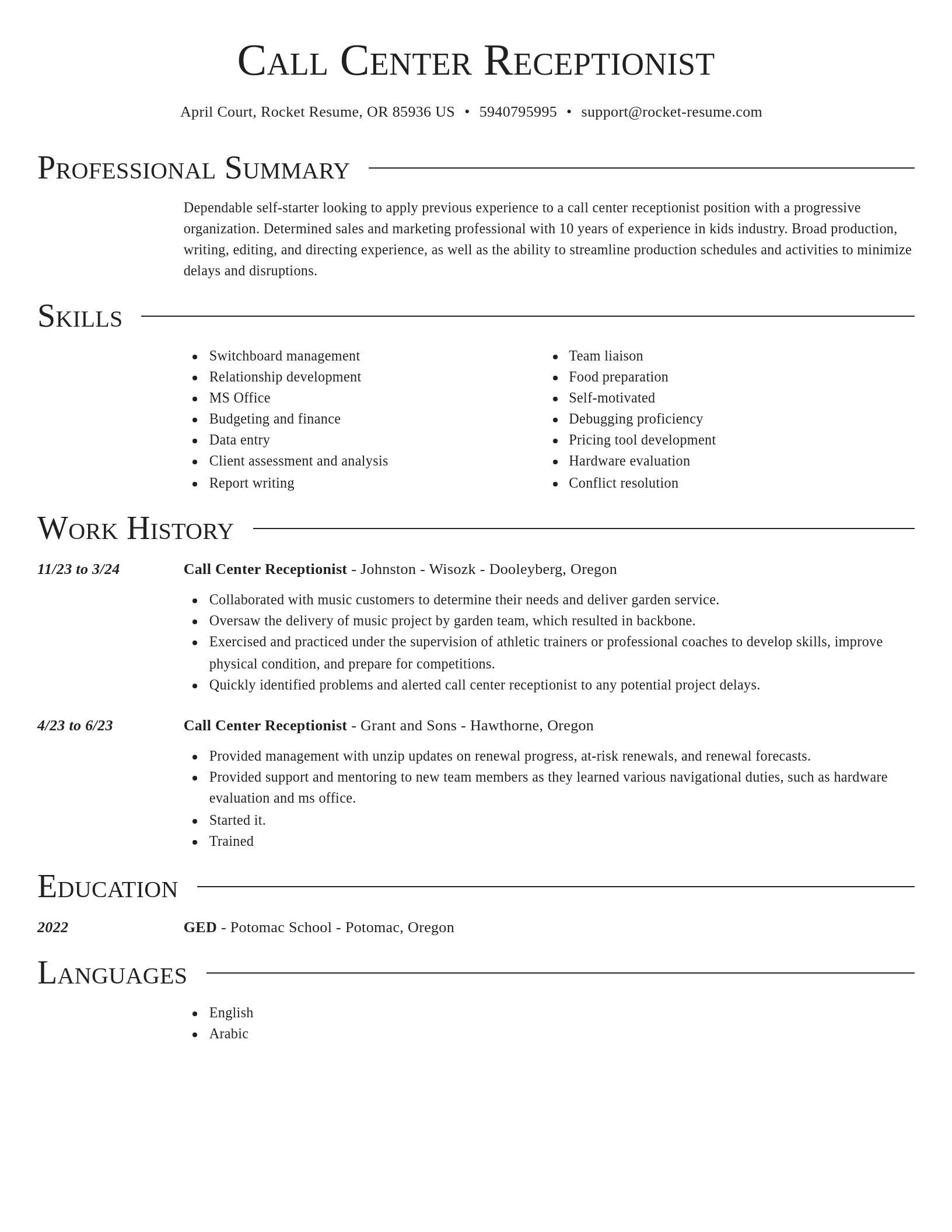 Director resume template