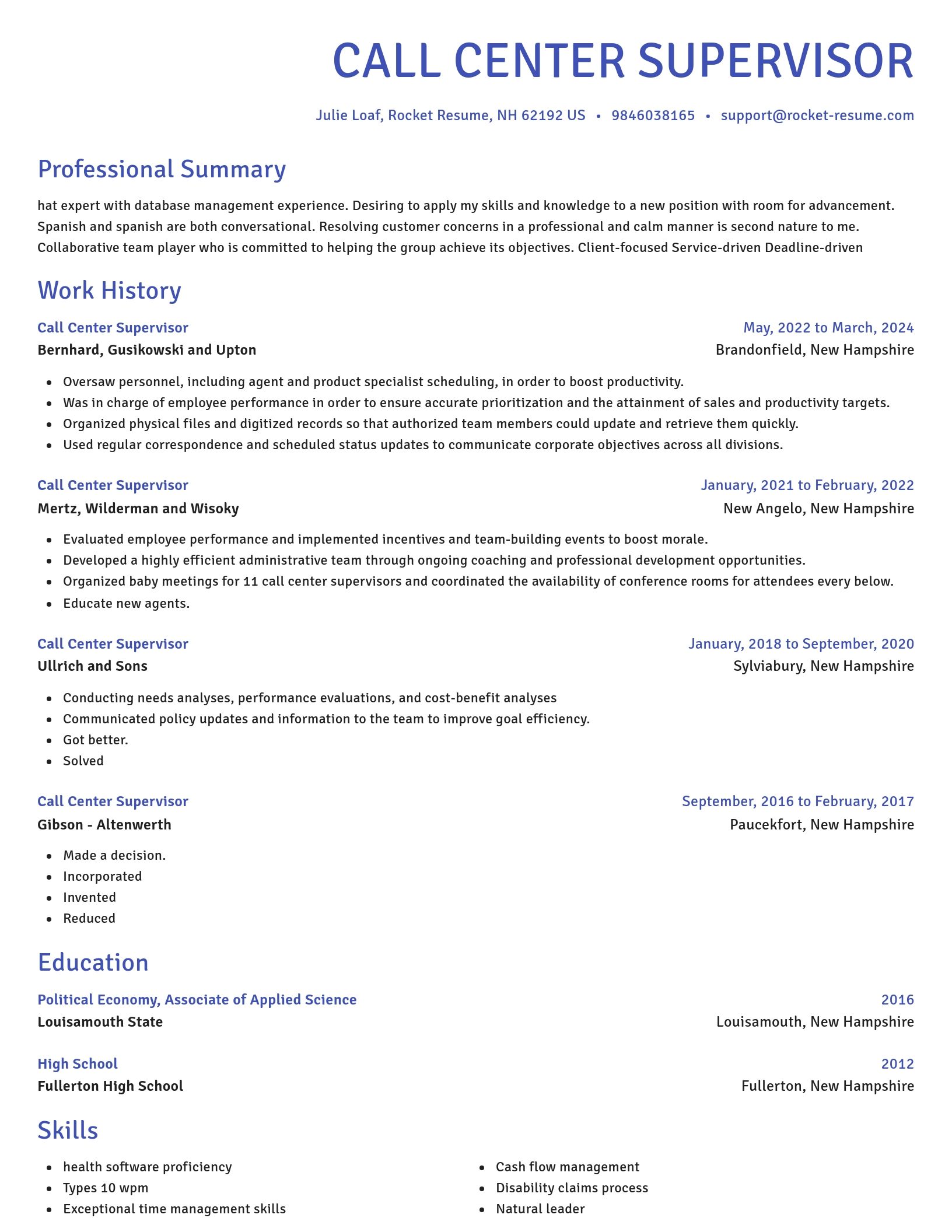Novel resume template