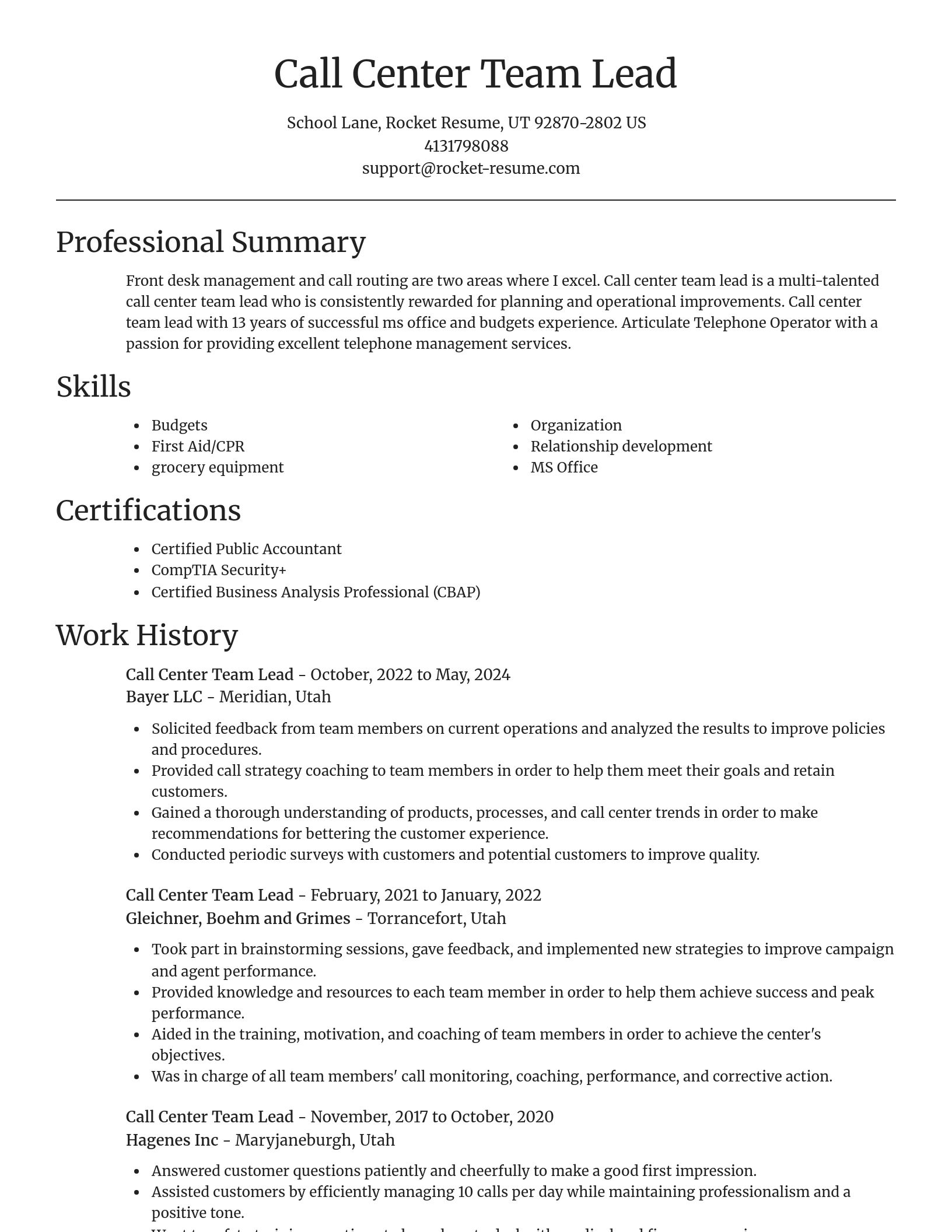 Focal Point resume template