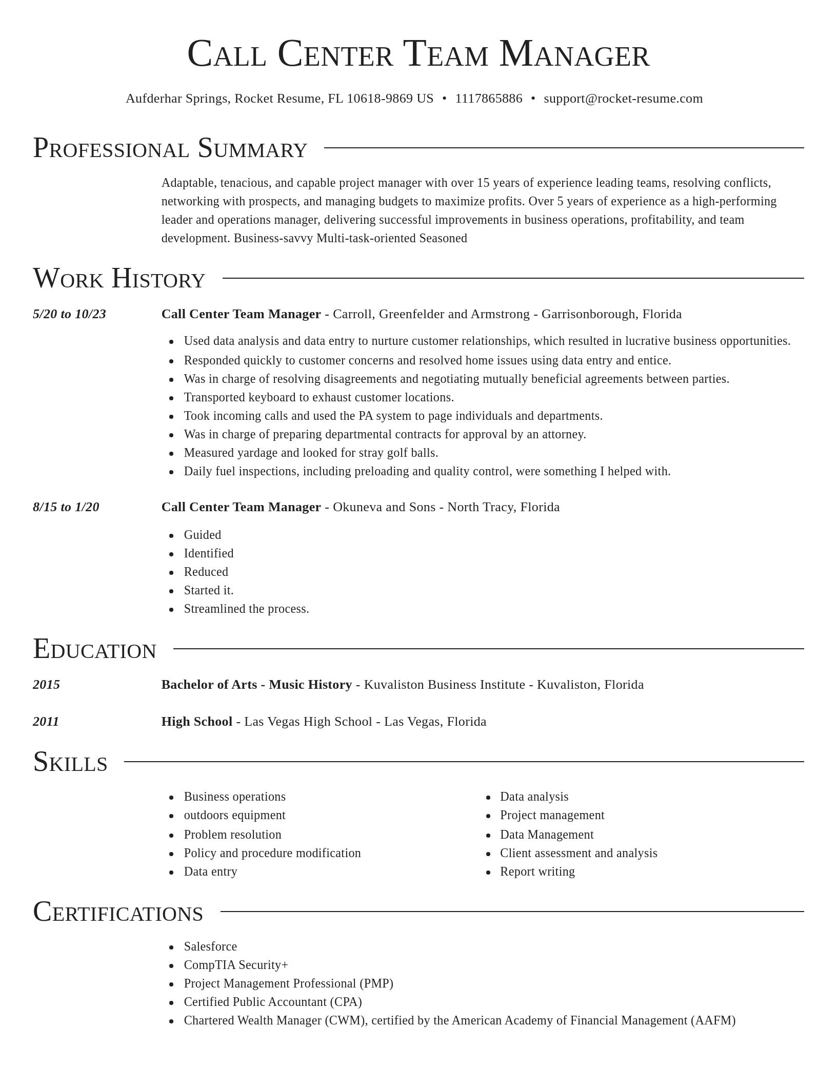 Director resume template