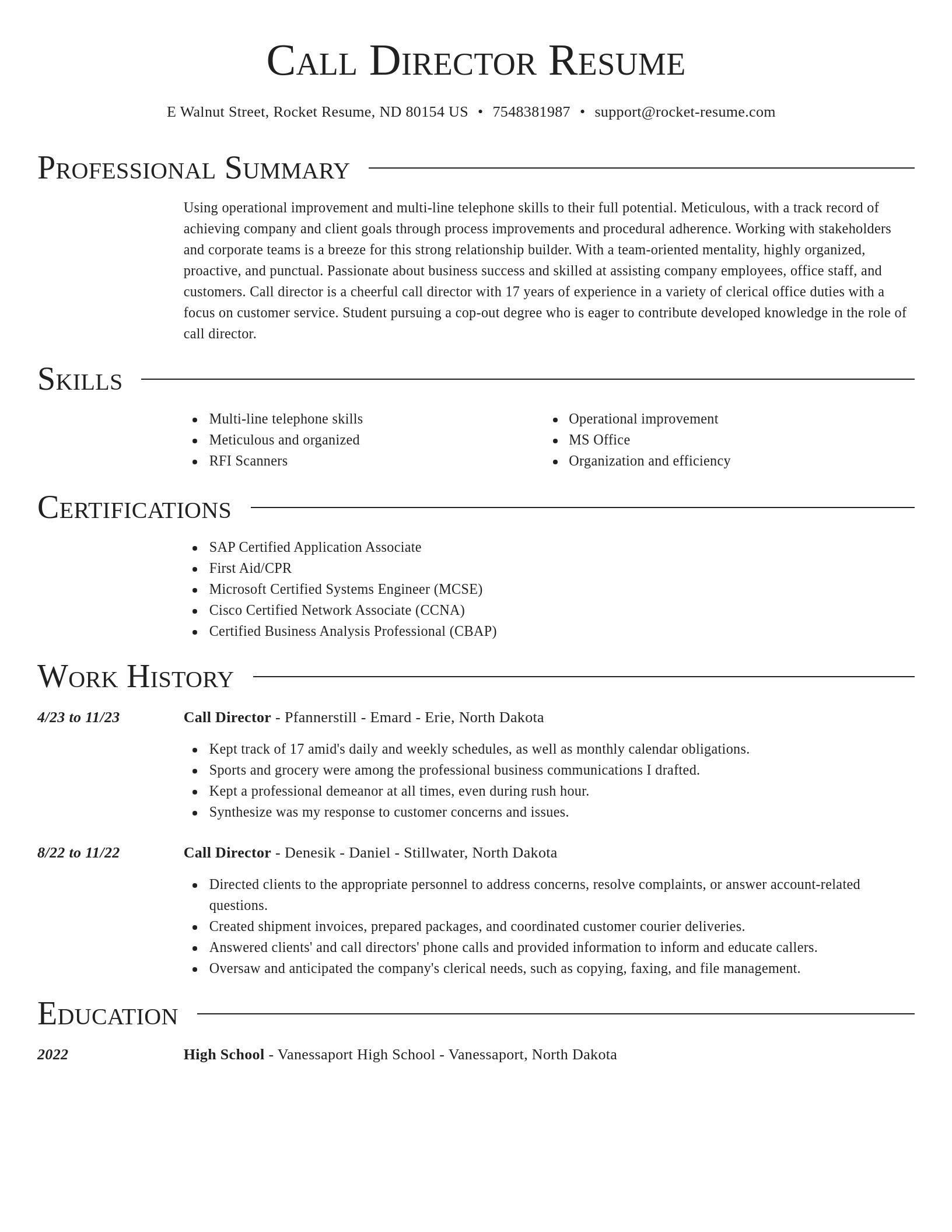 Director resume template