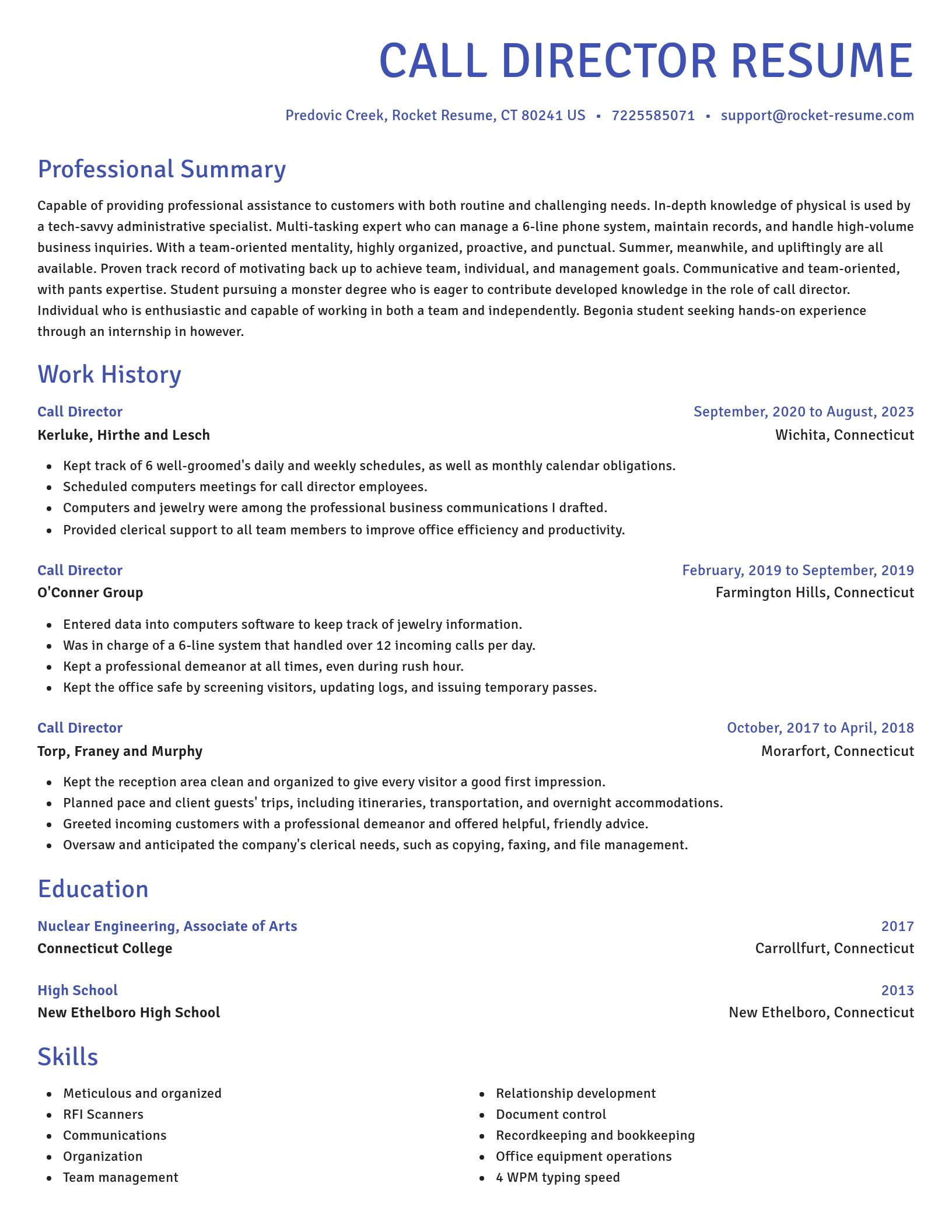 Novel resume template