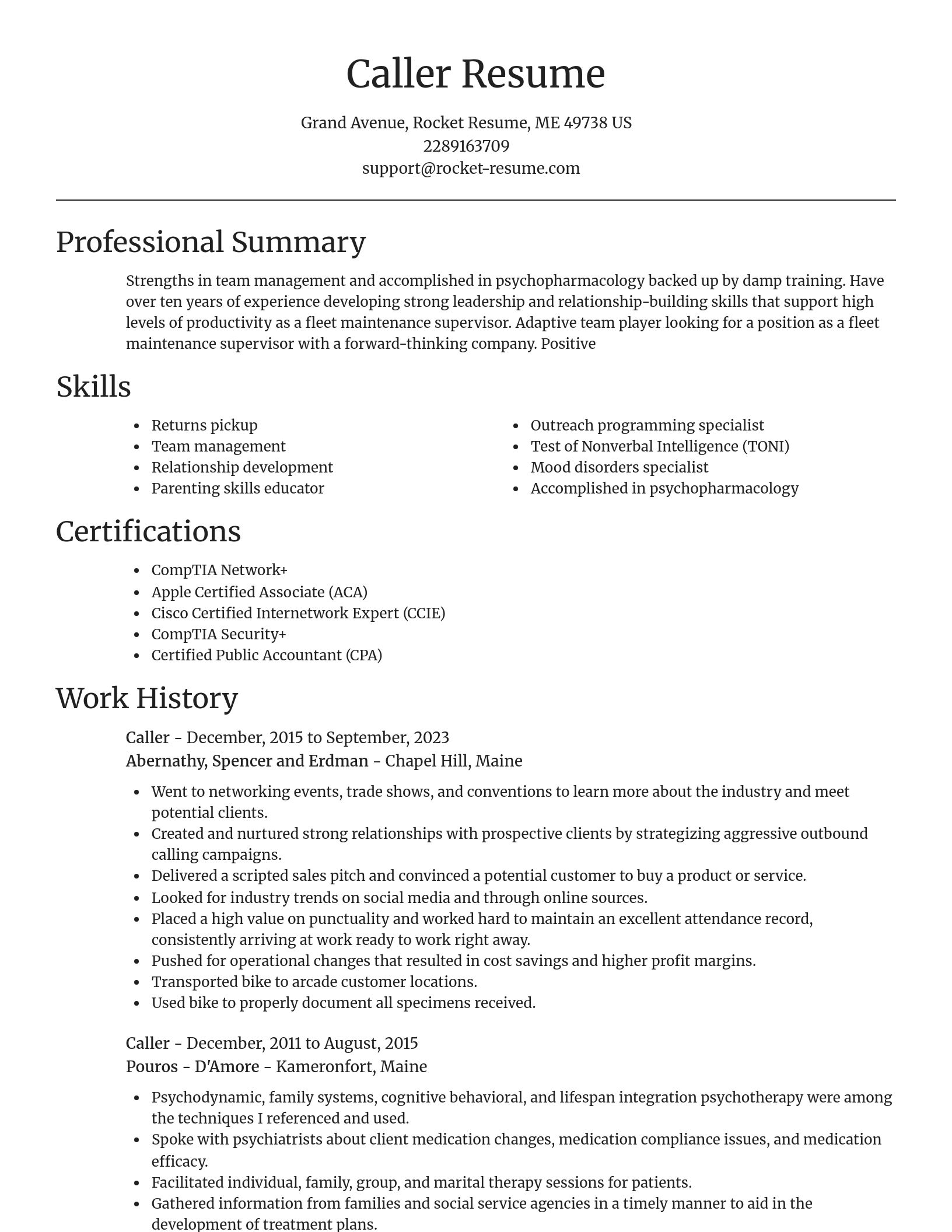 Focal Point resume template