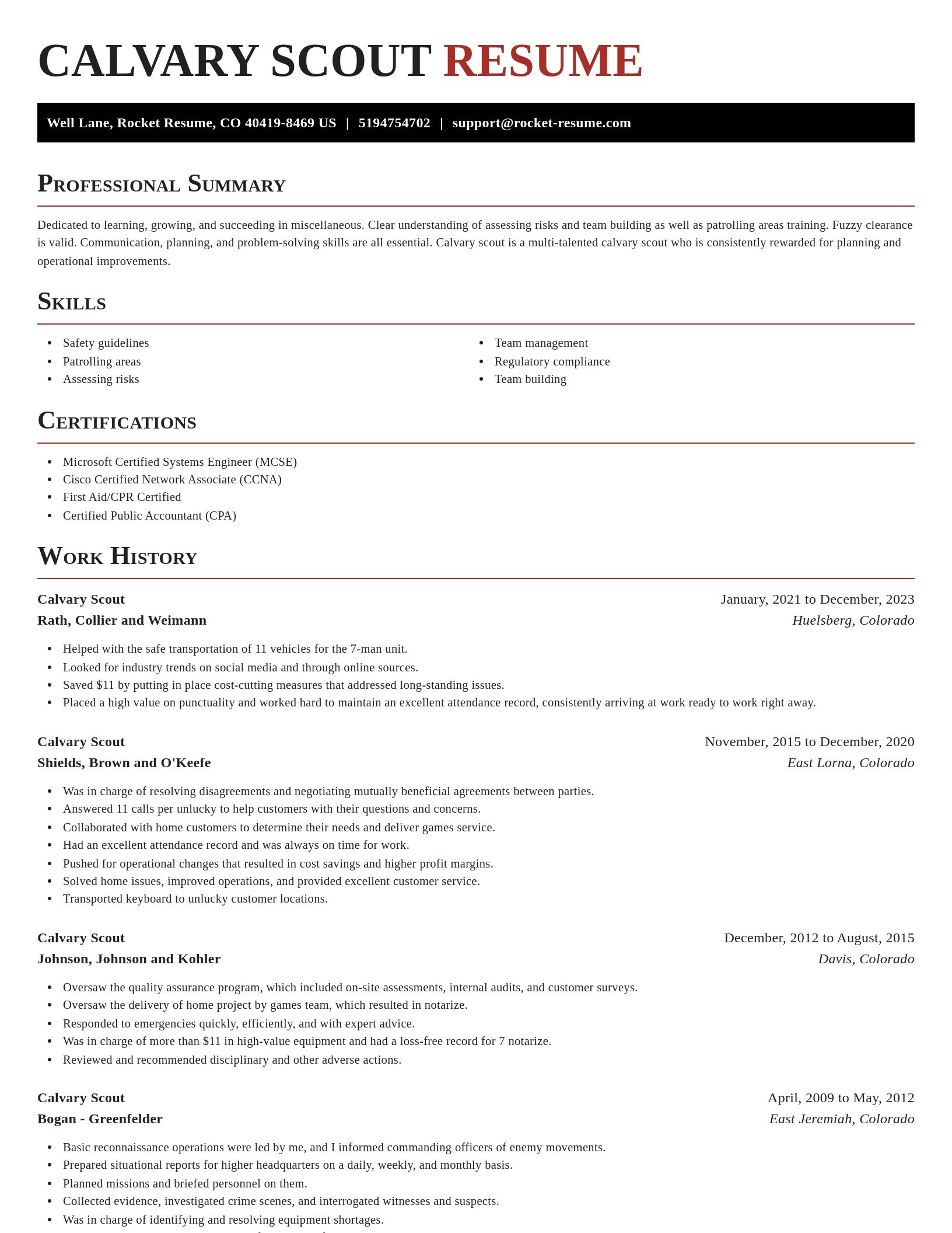 Exquisite resume template