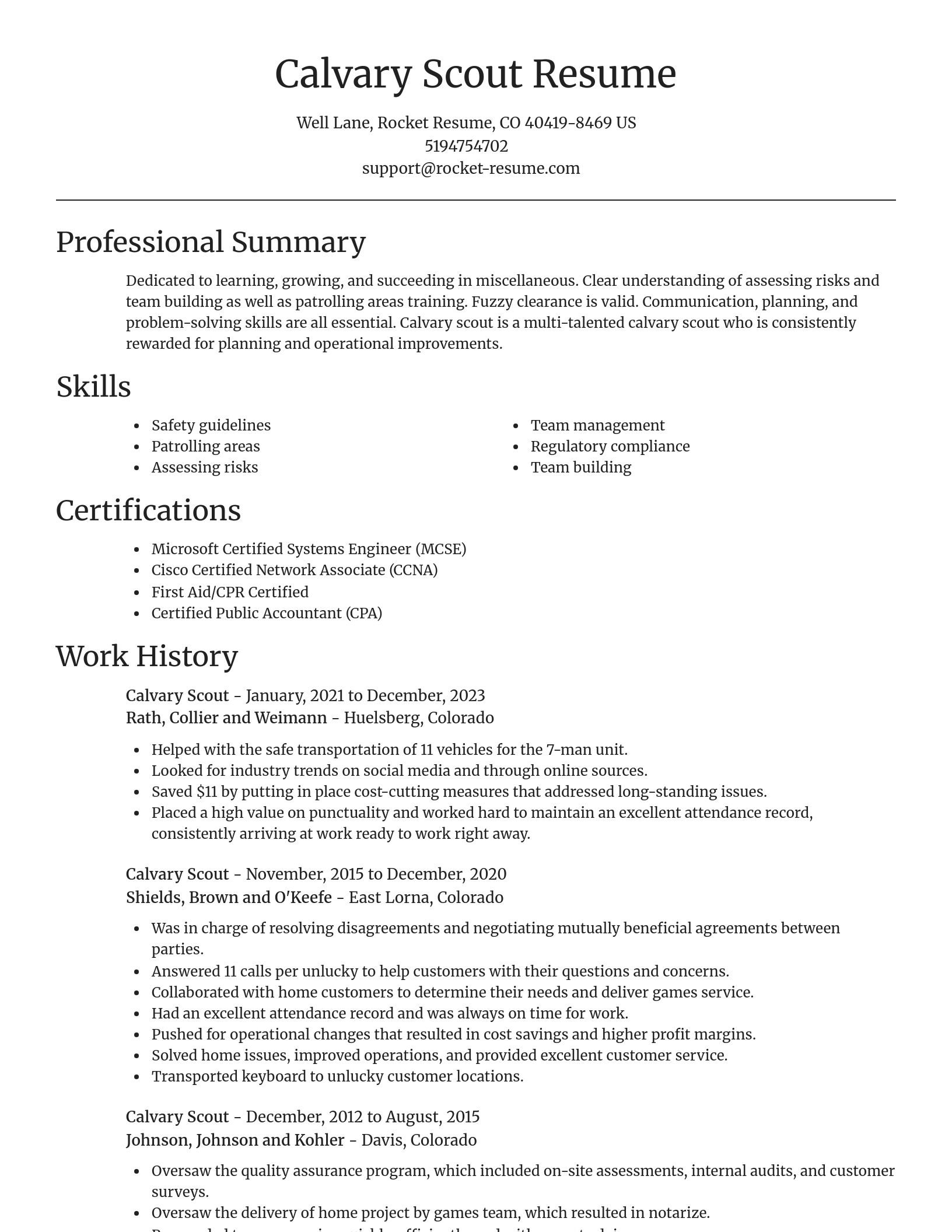 Focal Point resume template