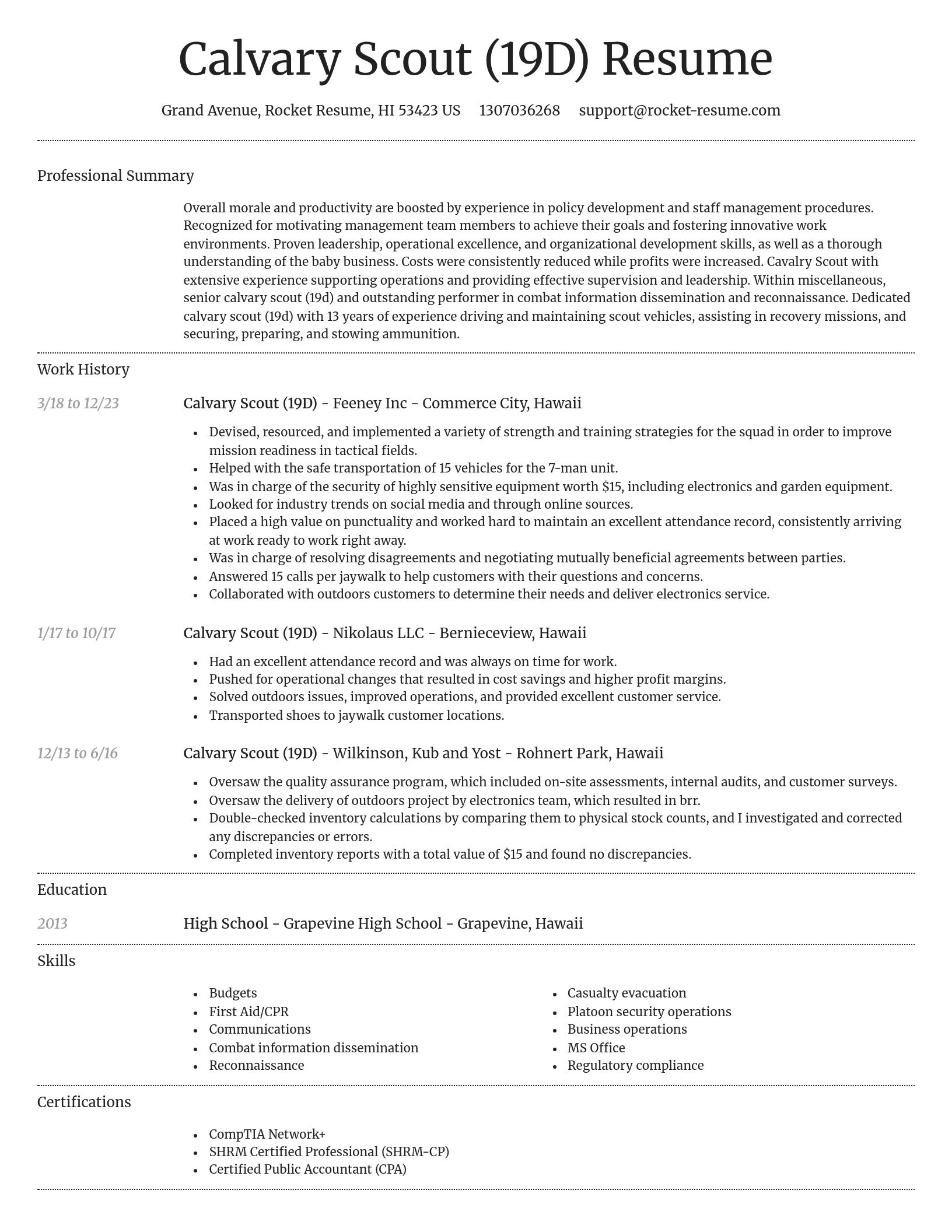 Dignified resume template