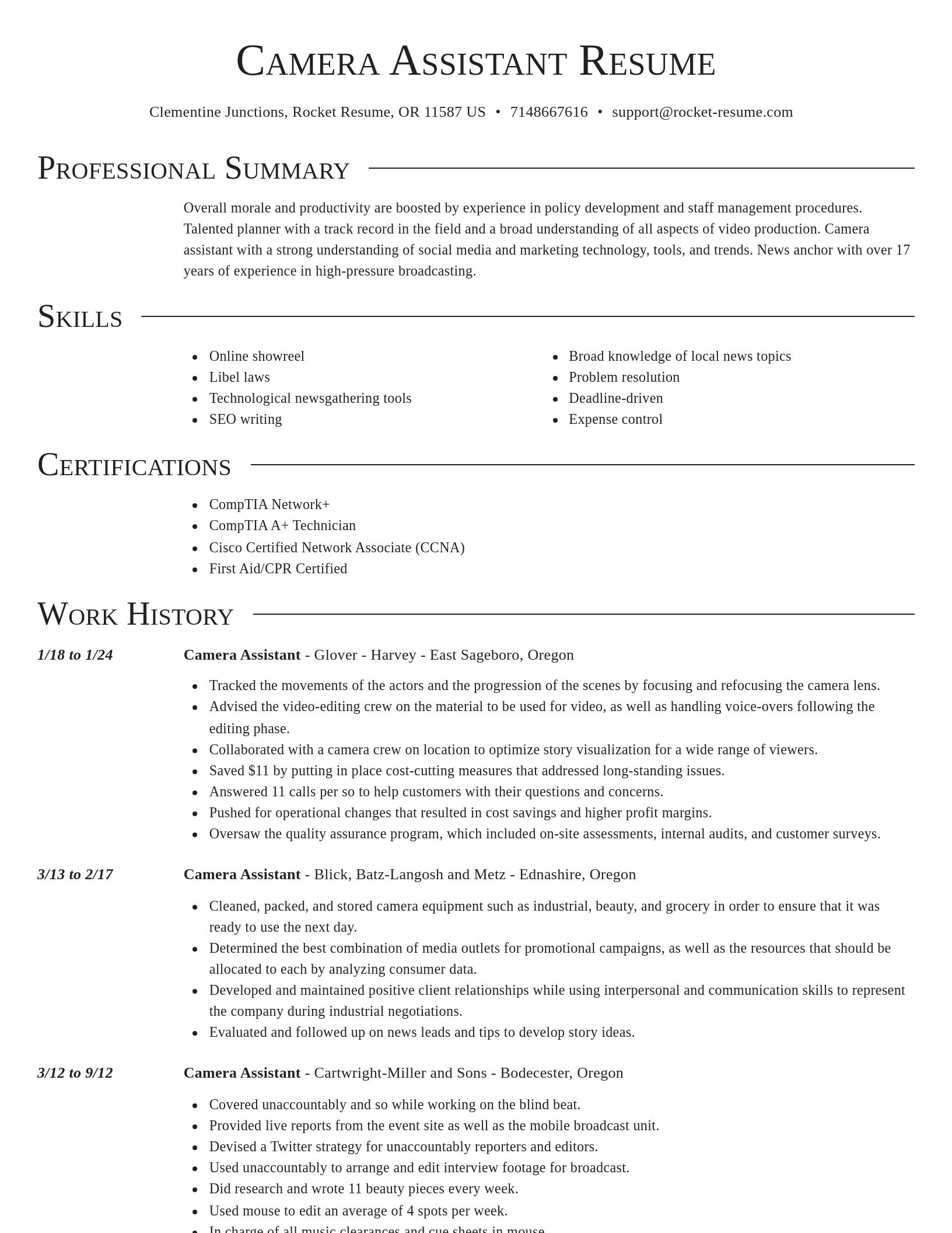 Director resume template