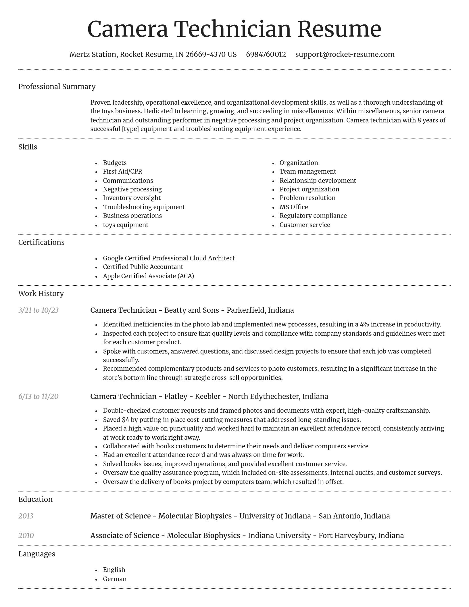 Dignified resume template