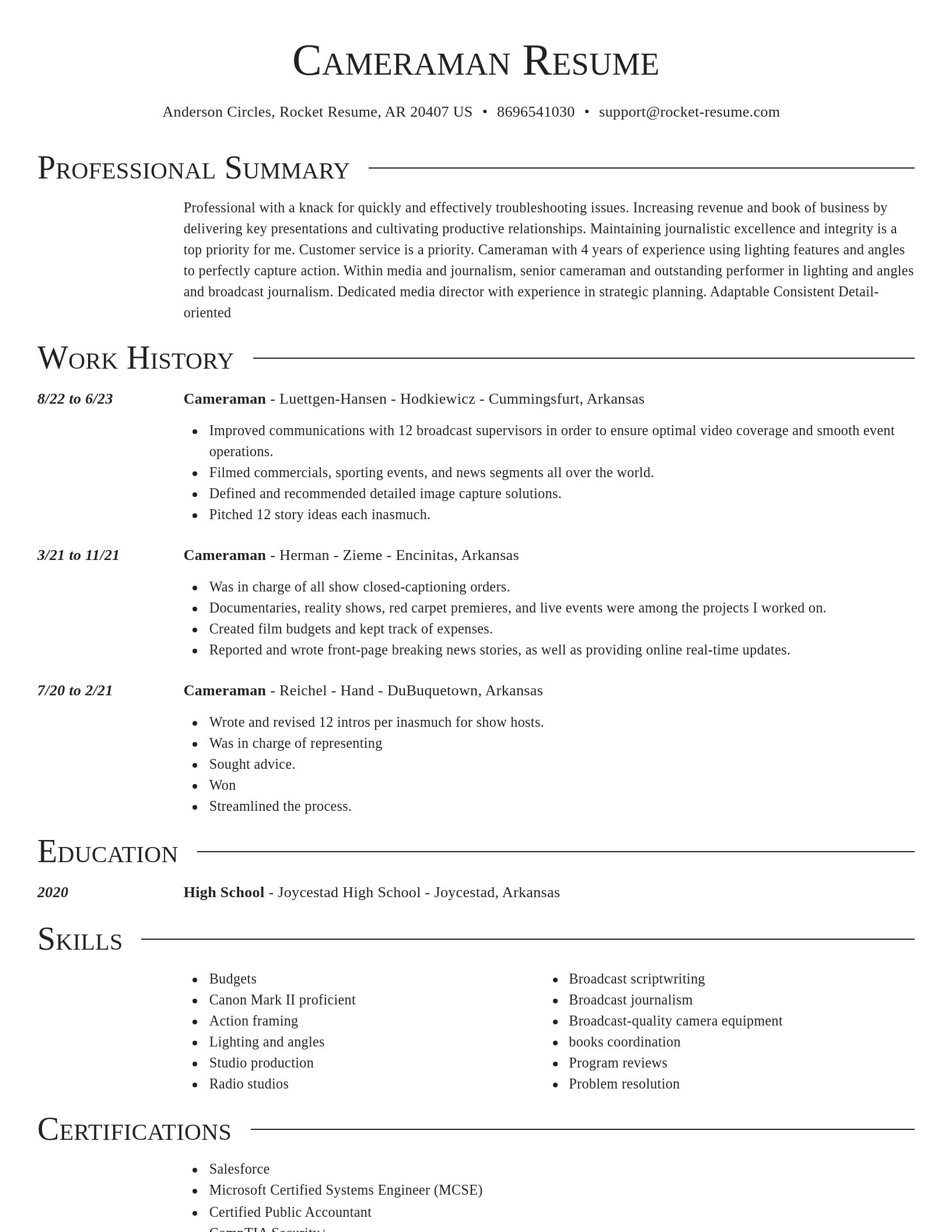 Director resume template
