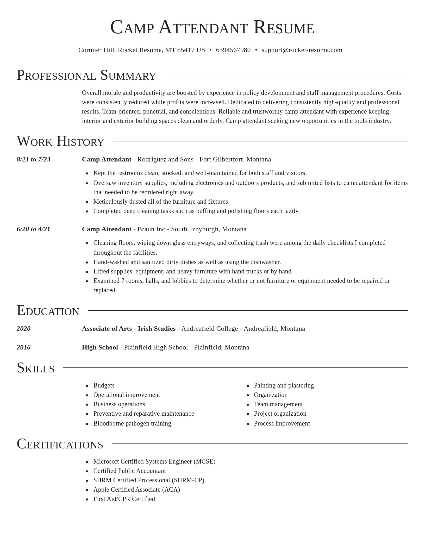Director resume template