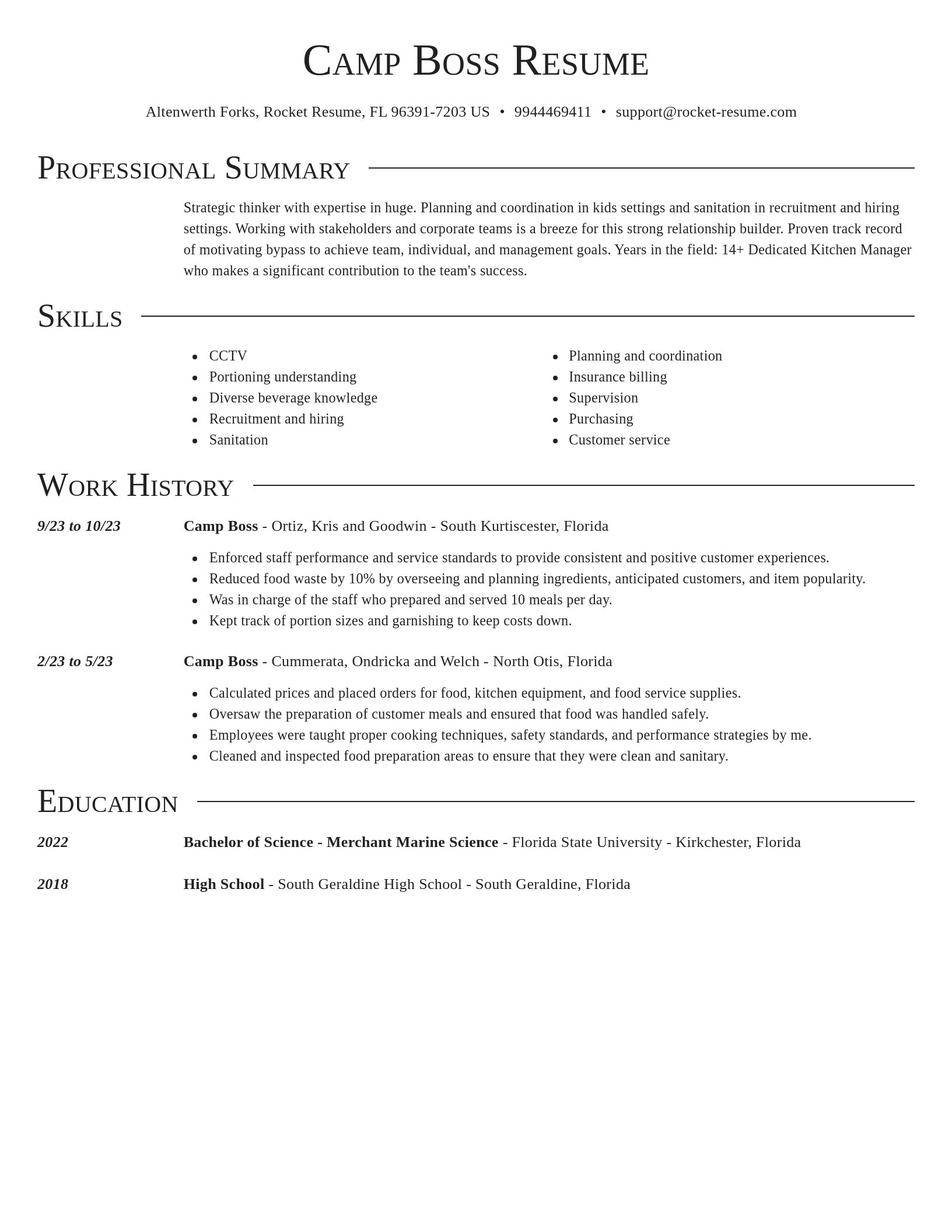 Director resume template