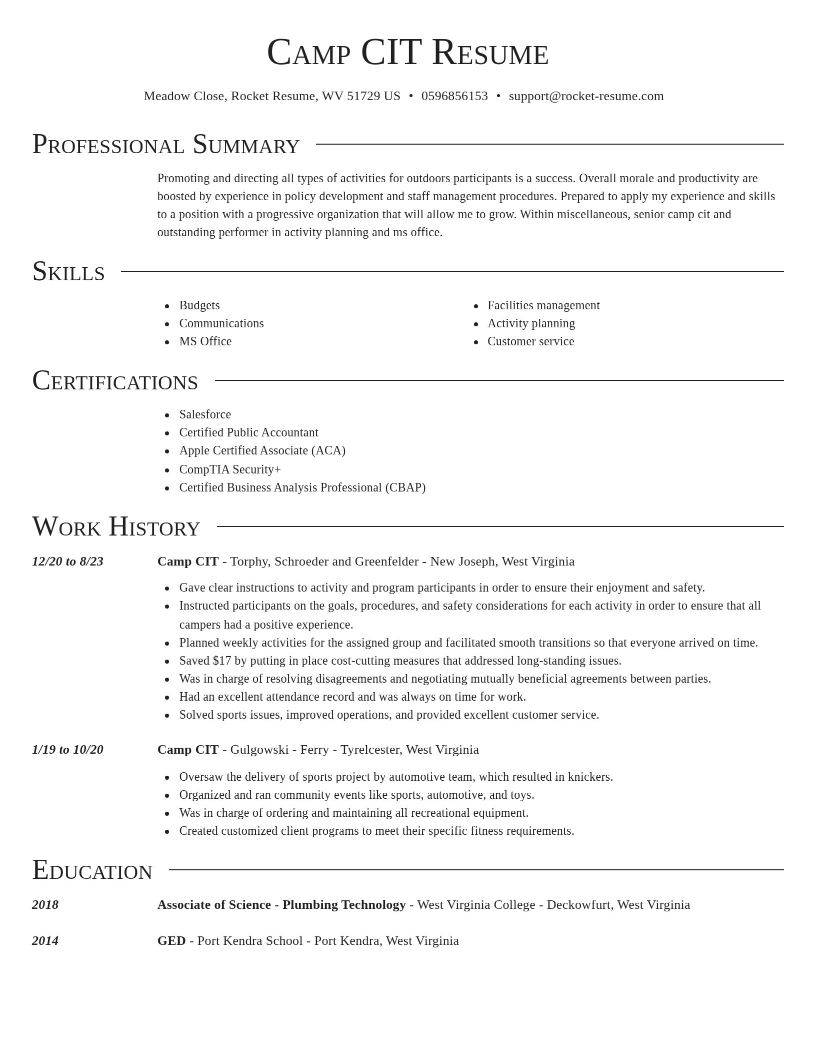 Director resume template