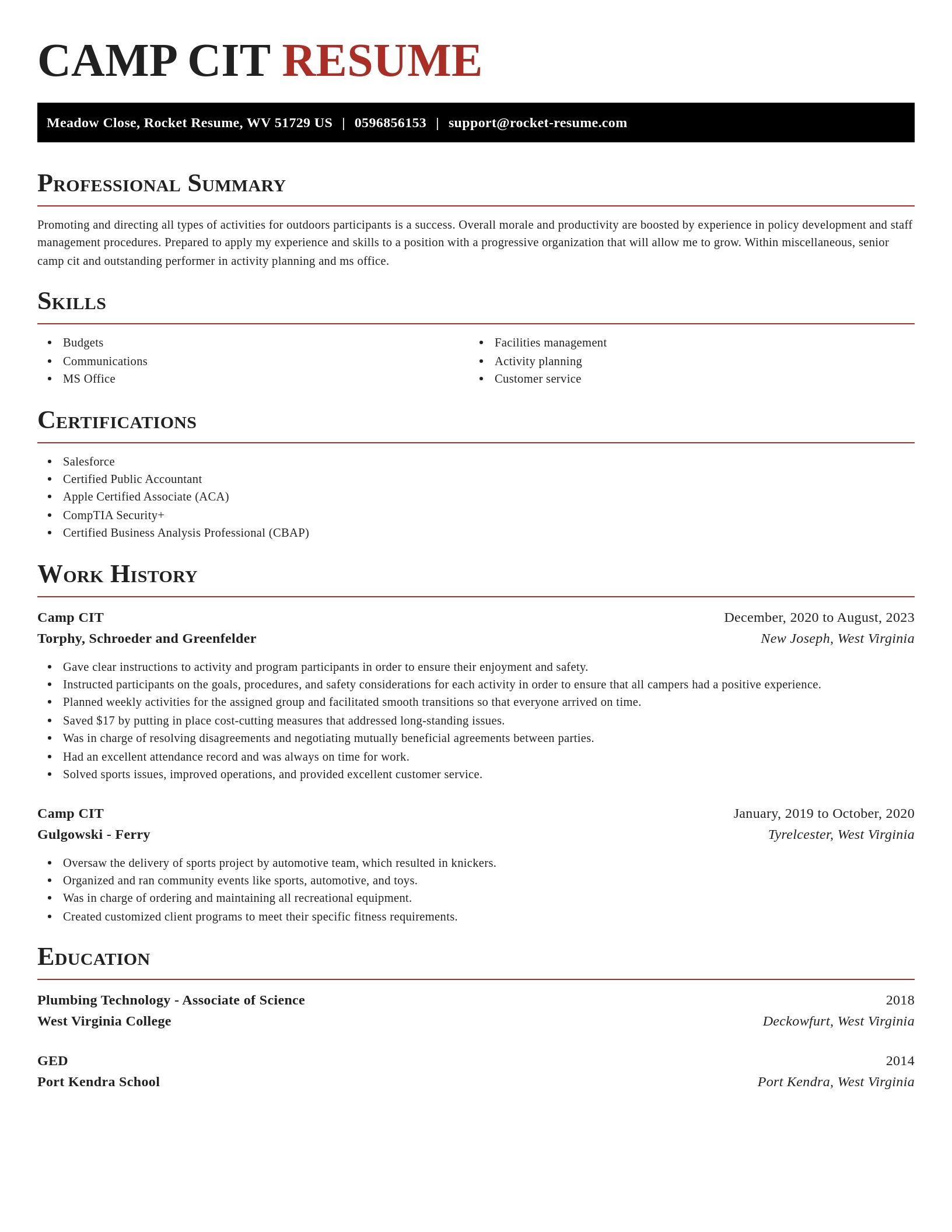 Exquisite resume template