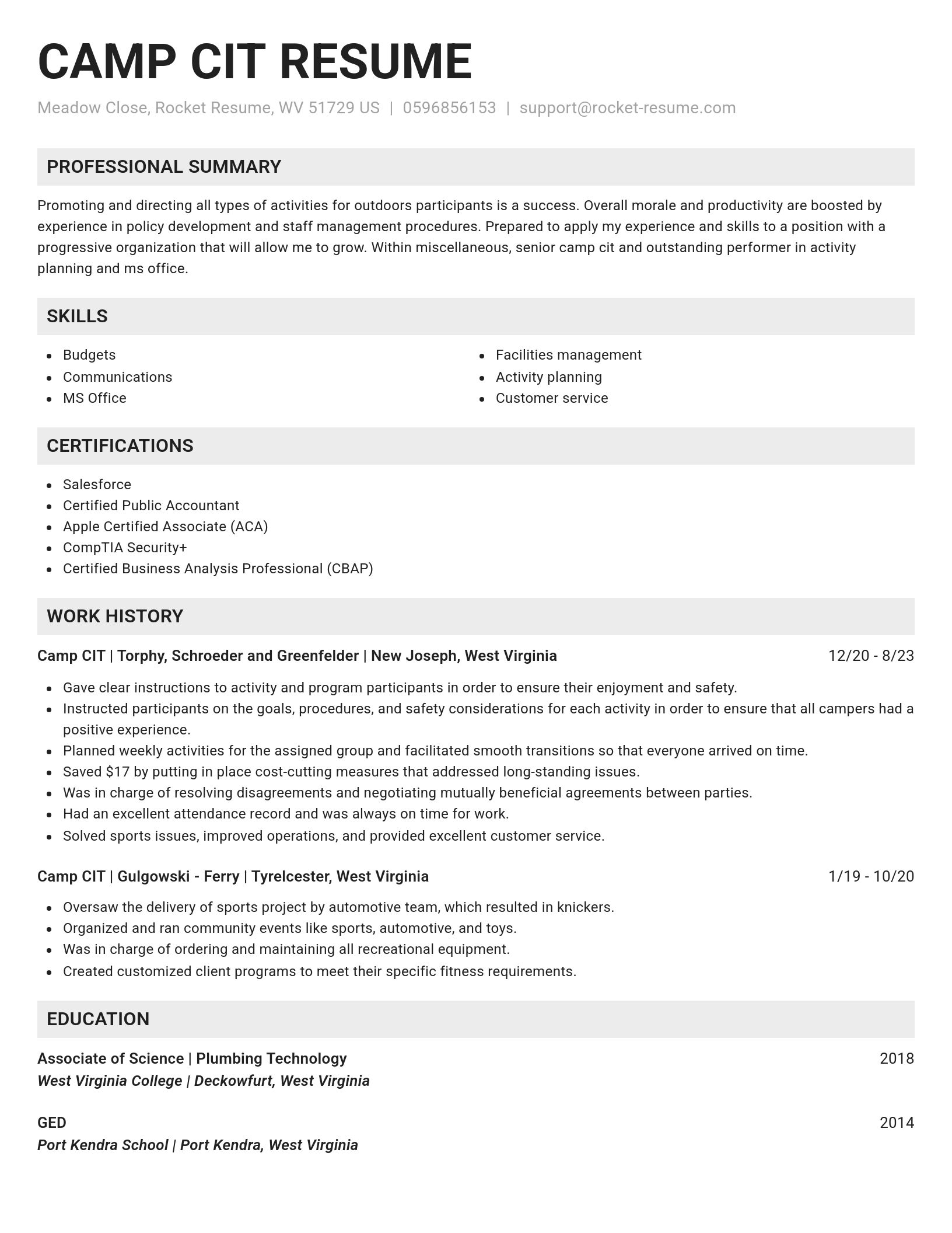 Genius resume template