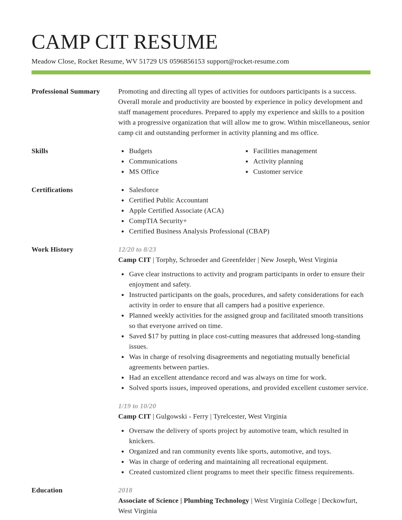 Smart resume template