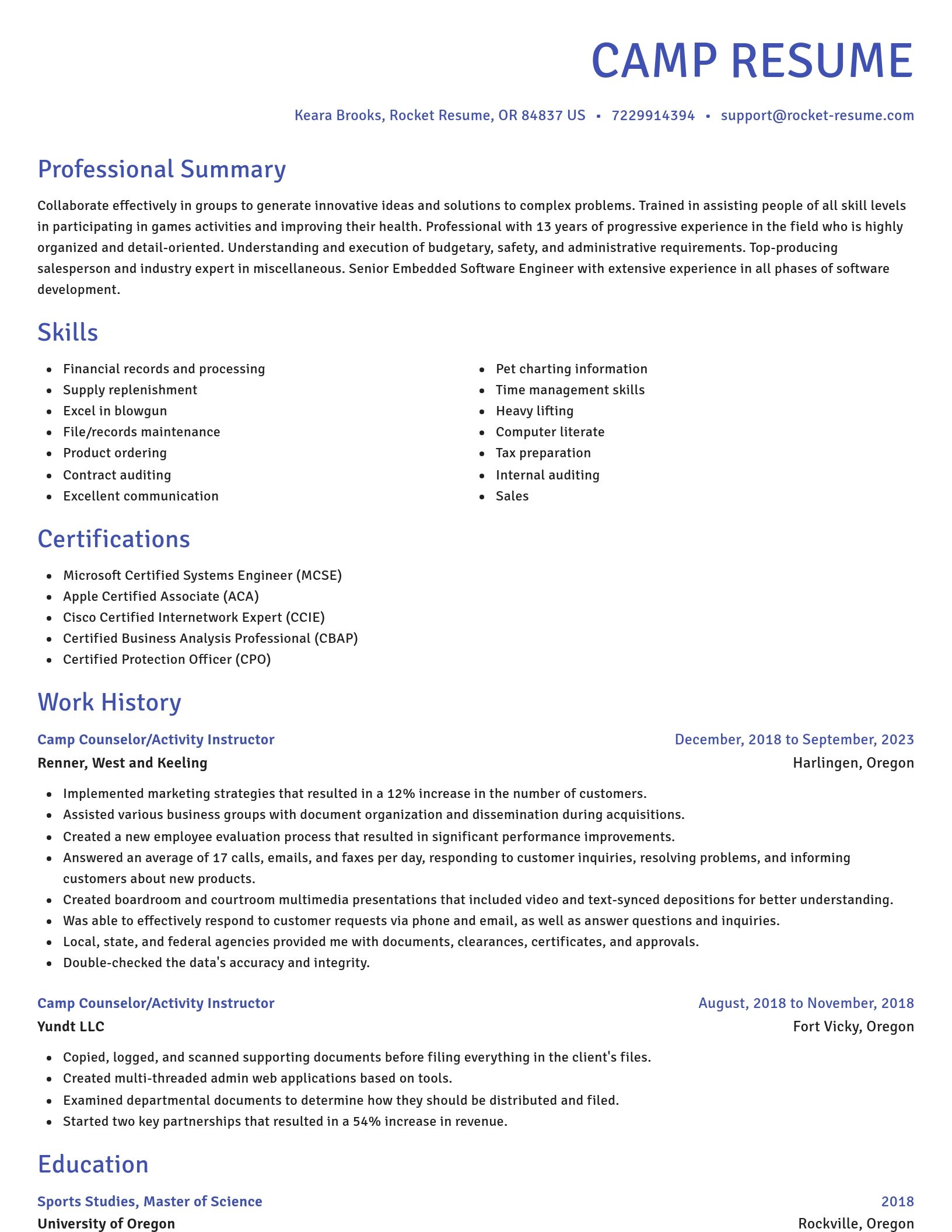 Novel resume template