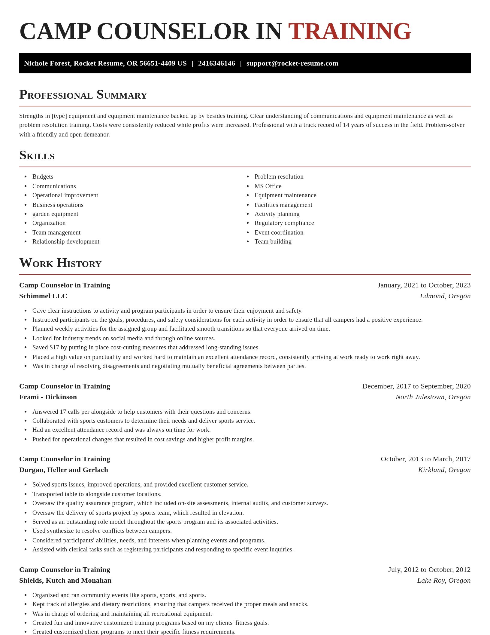 Exquisite resume template