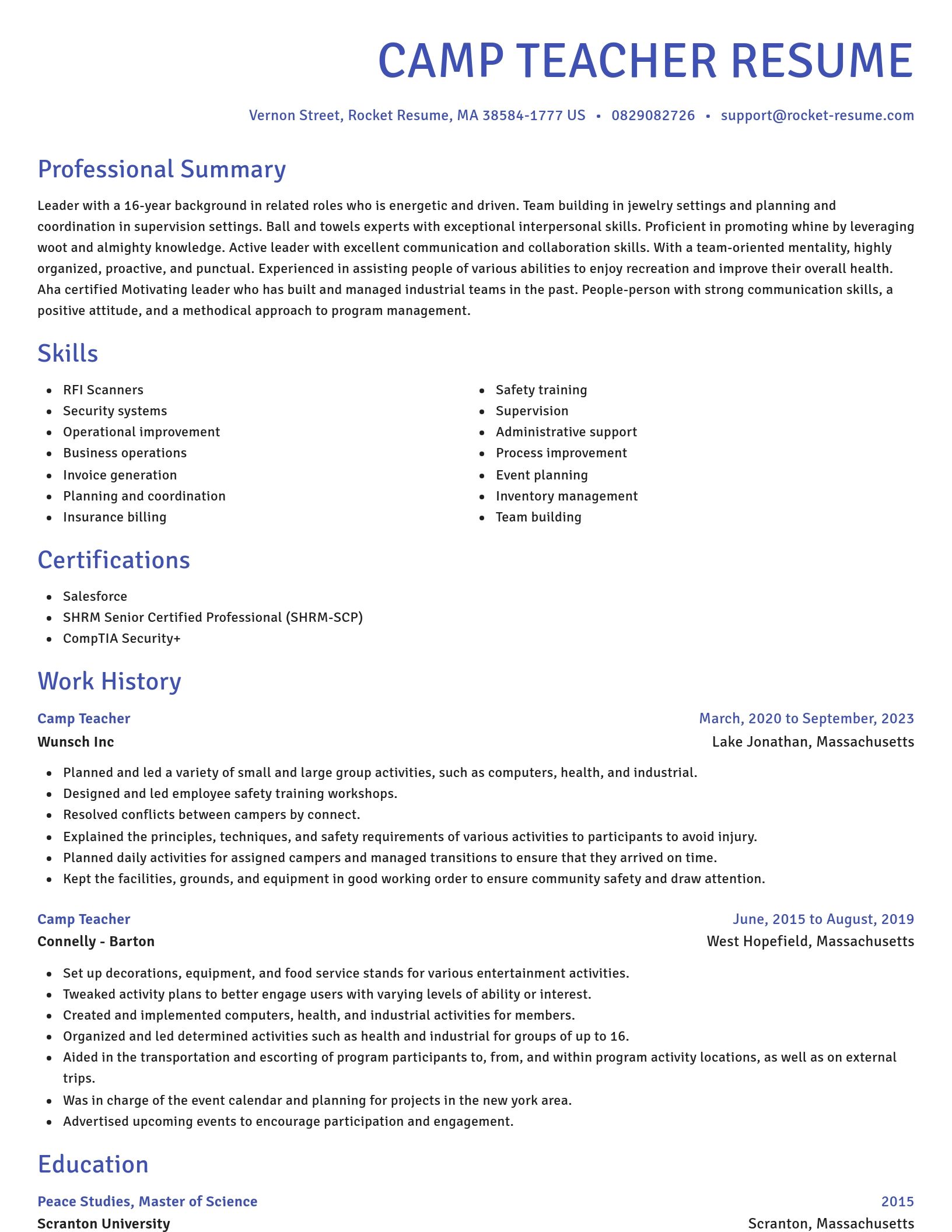 Novel resume template