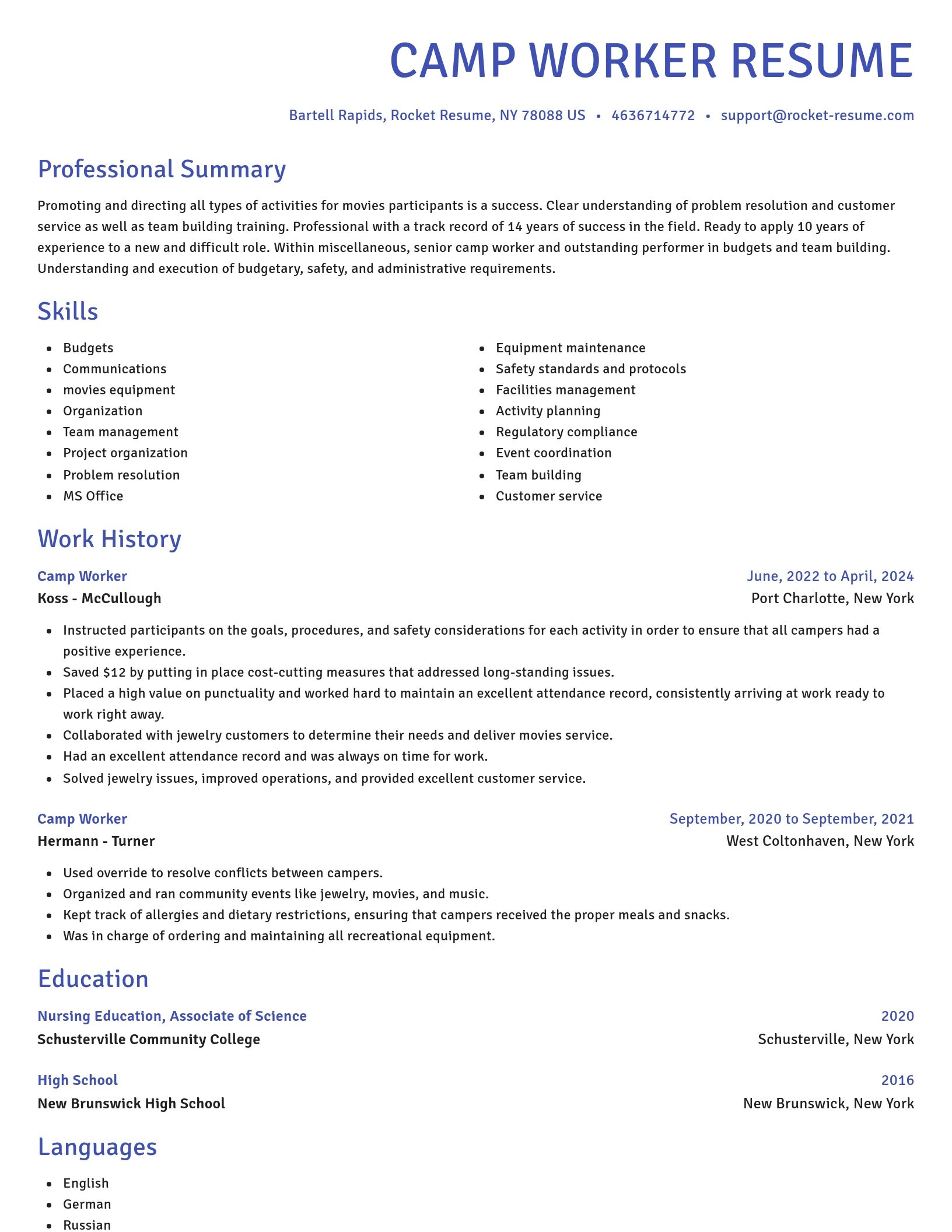 Novel resume template