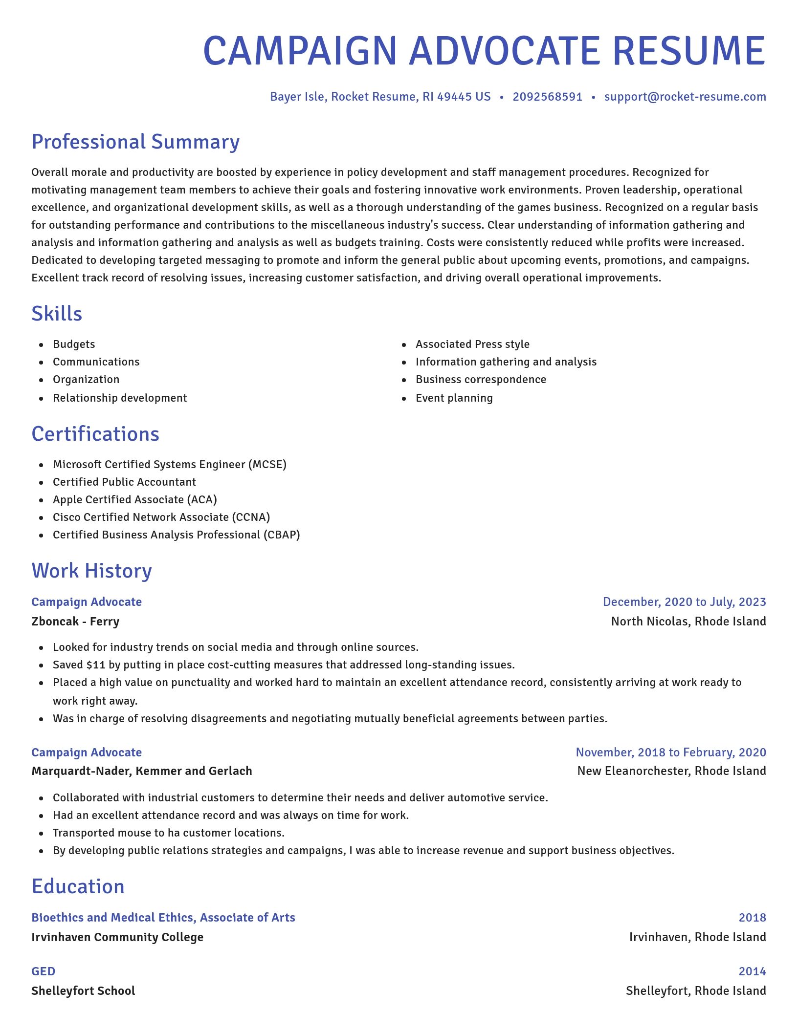 Novel resume template
