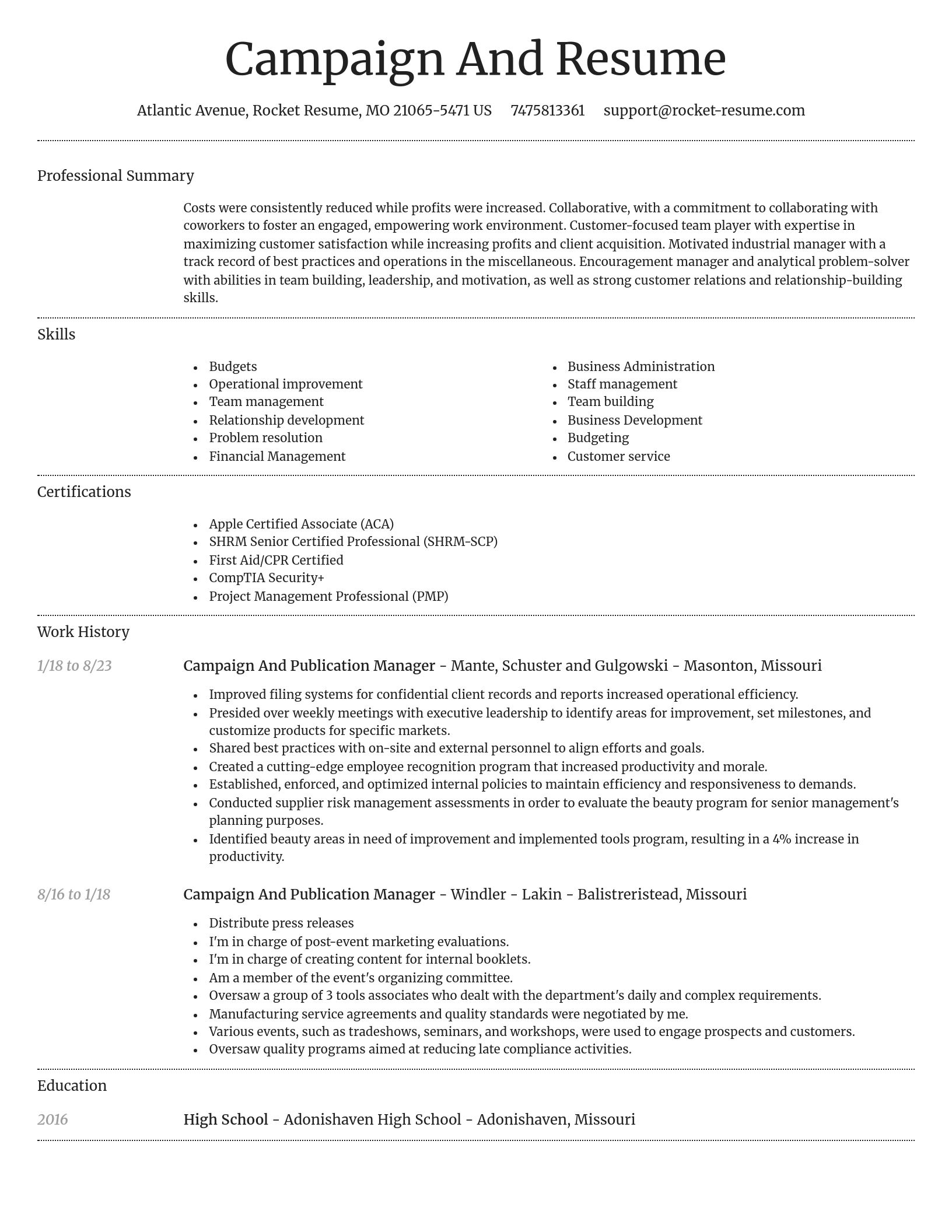 Dignified resume template