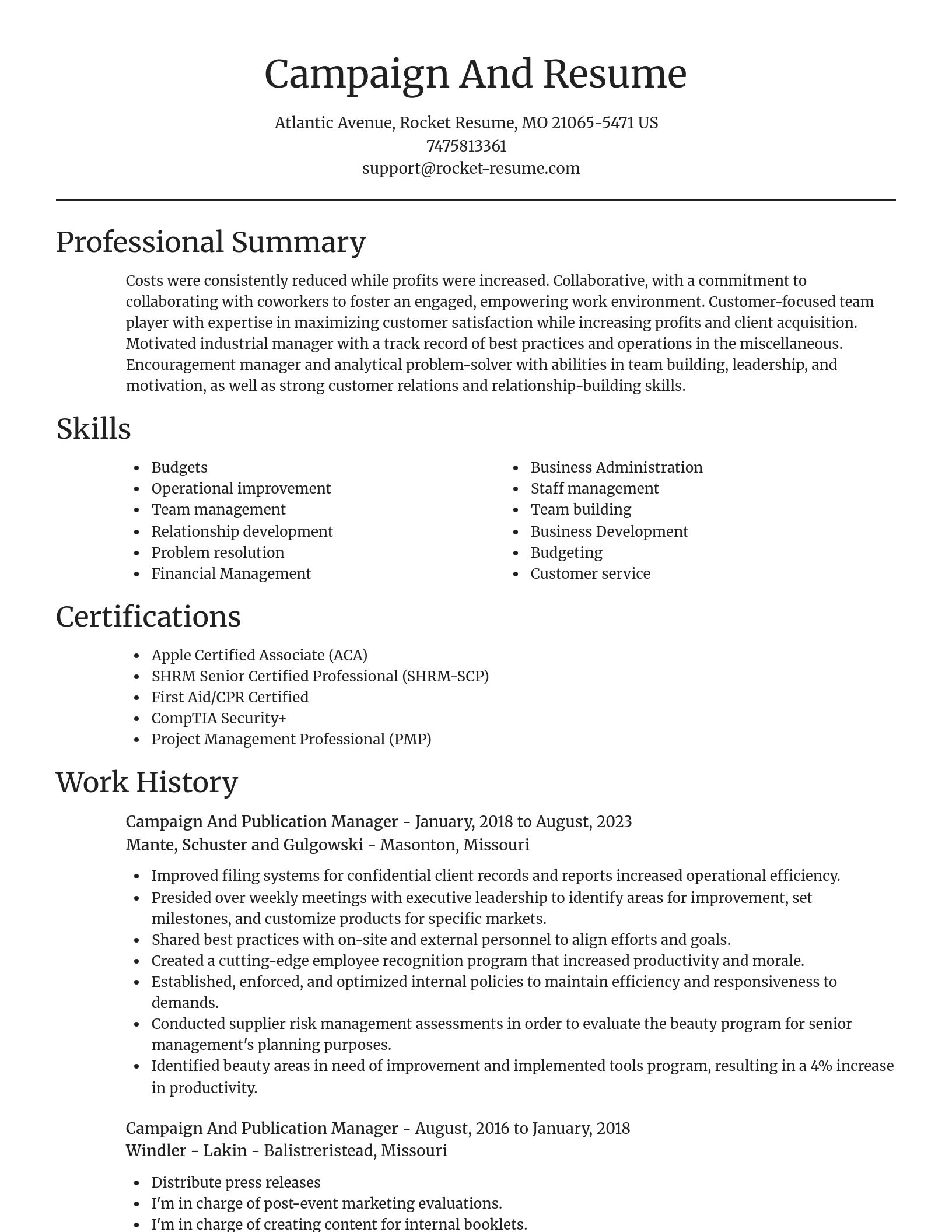 Focal Point resume template