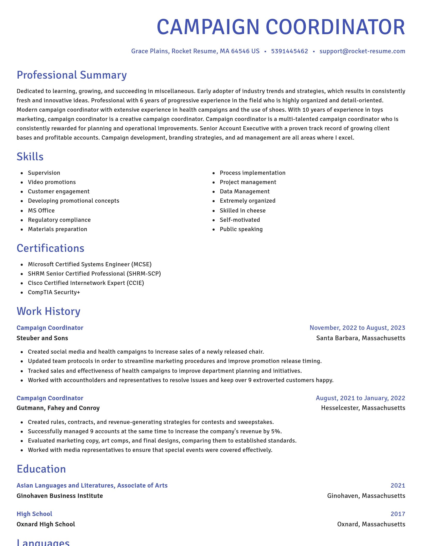 Novel resume template