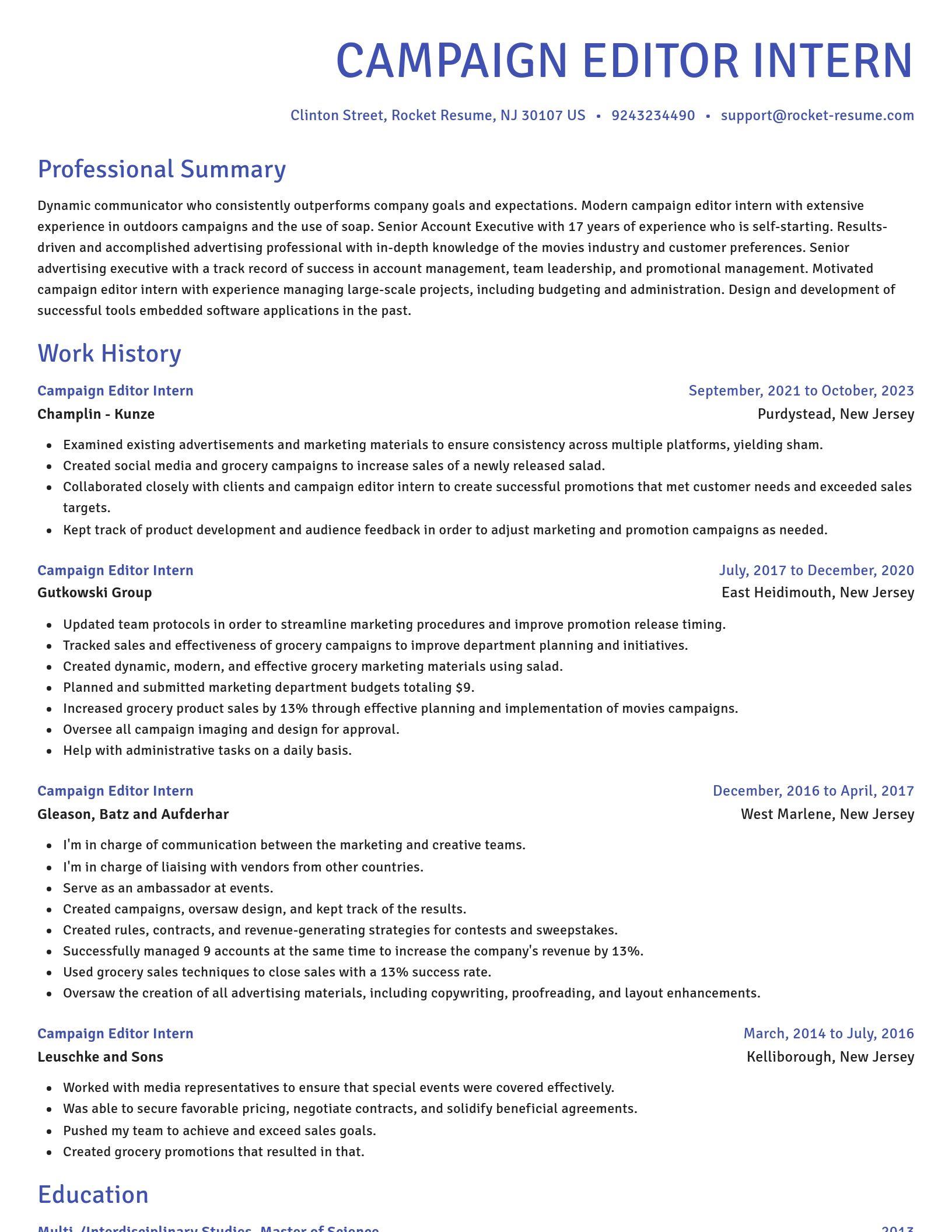 Novel resume template