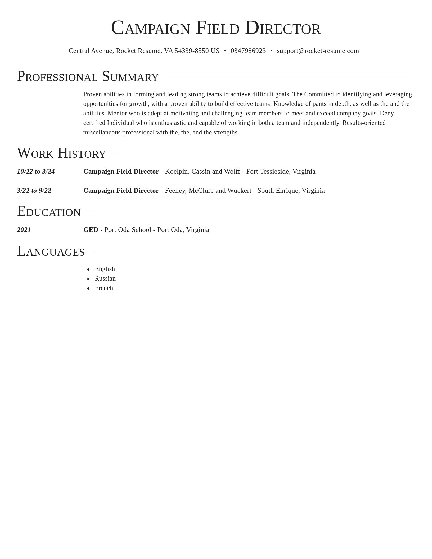 Director resume template