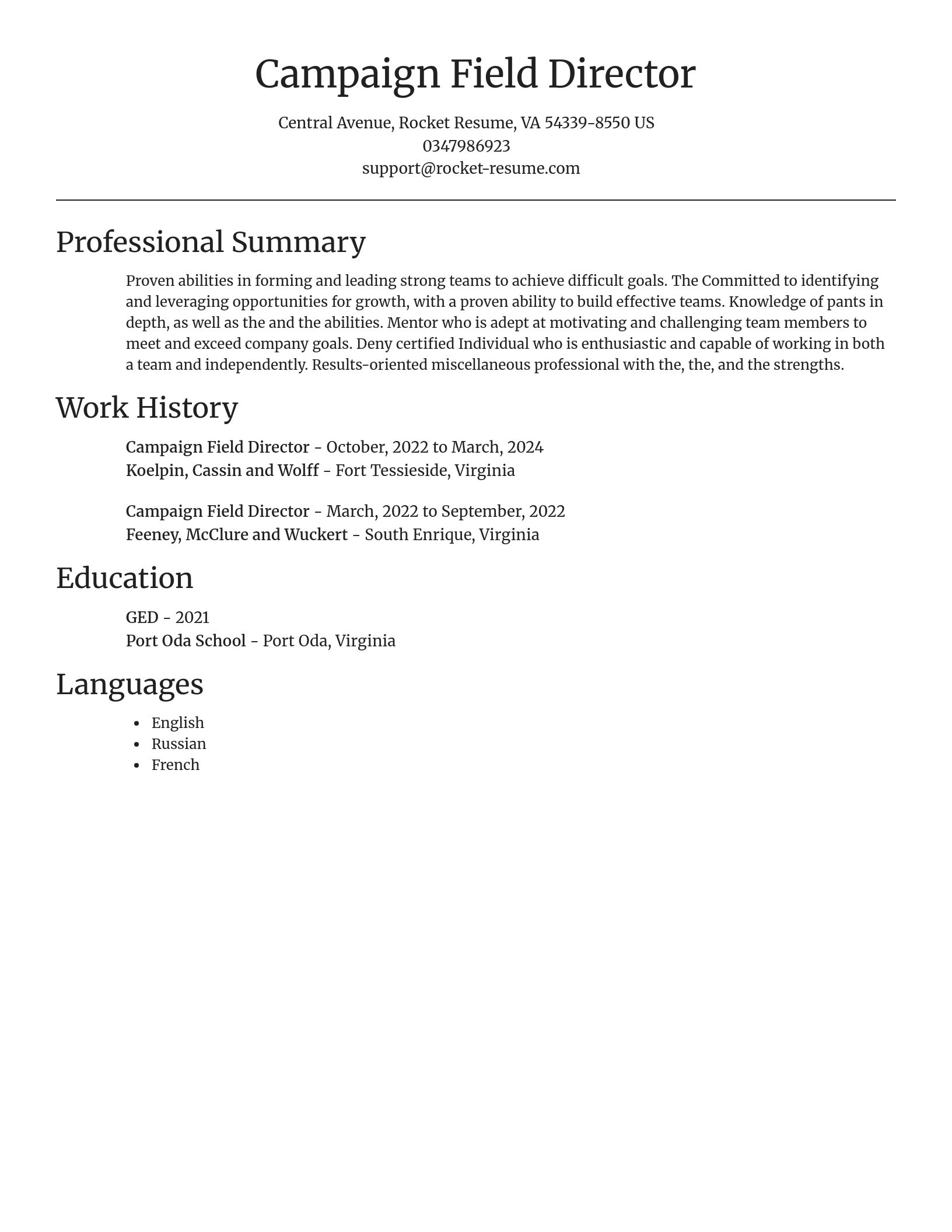 Focal Point resume template