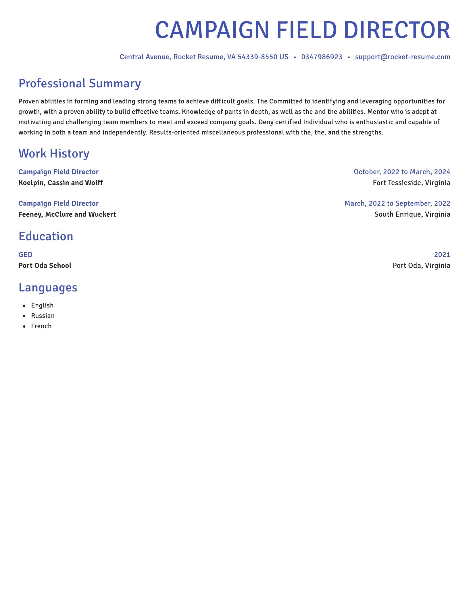 Novel resume template
