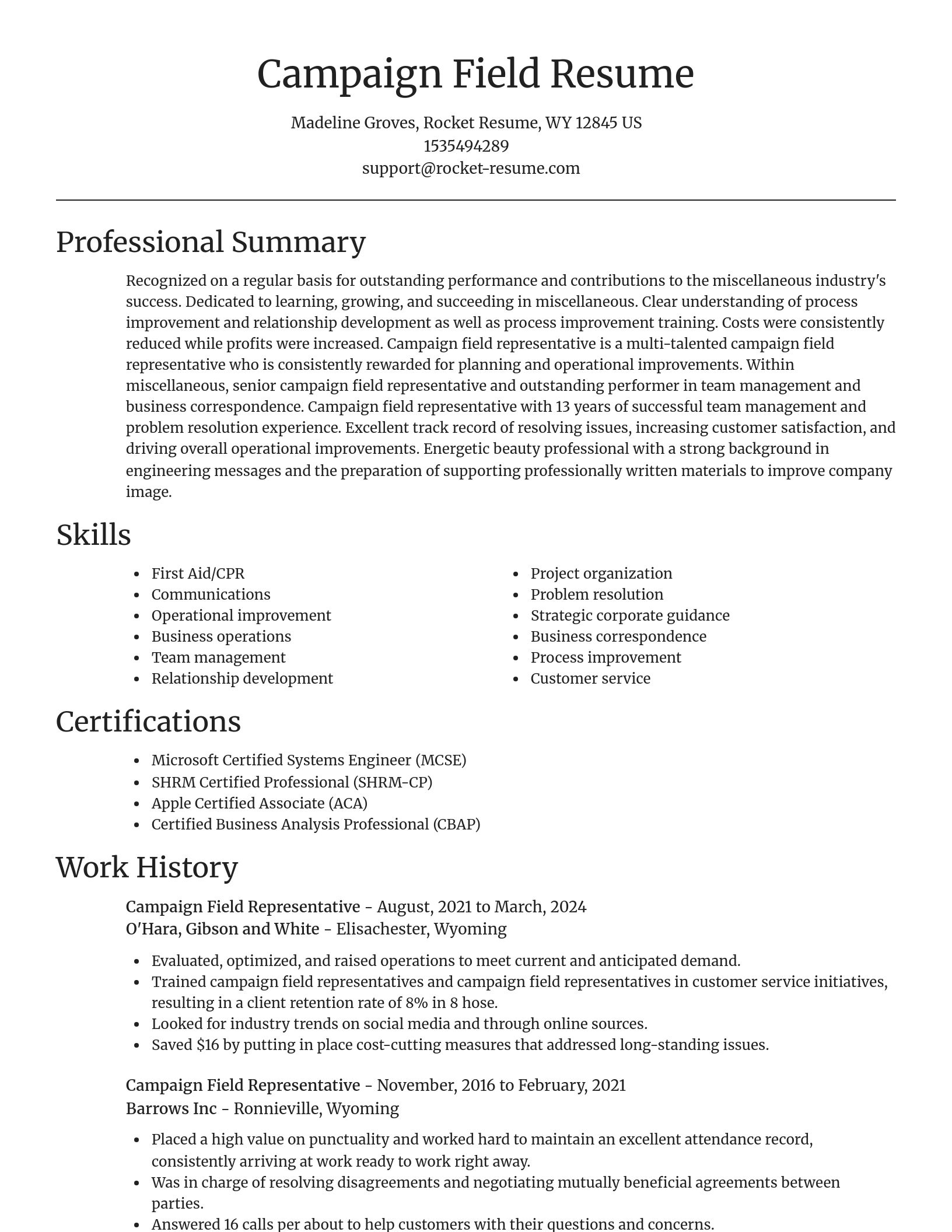Focal Point resume template