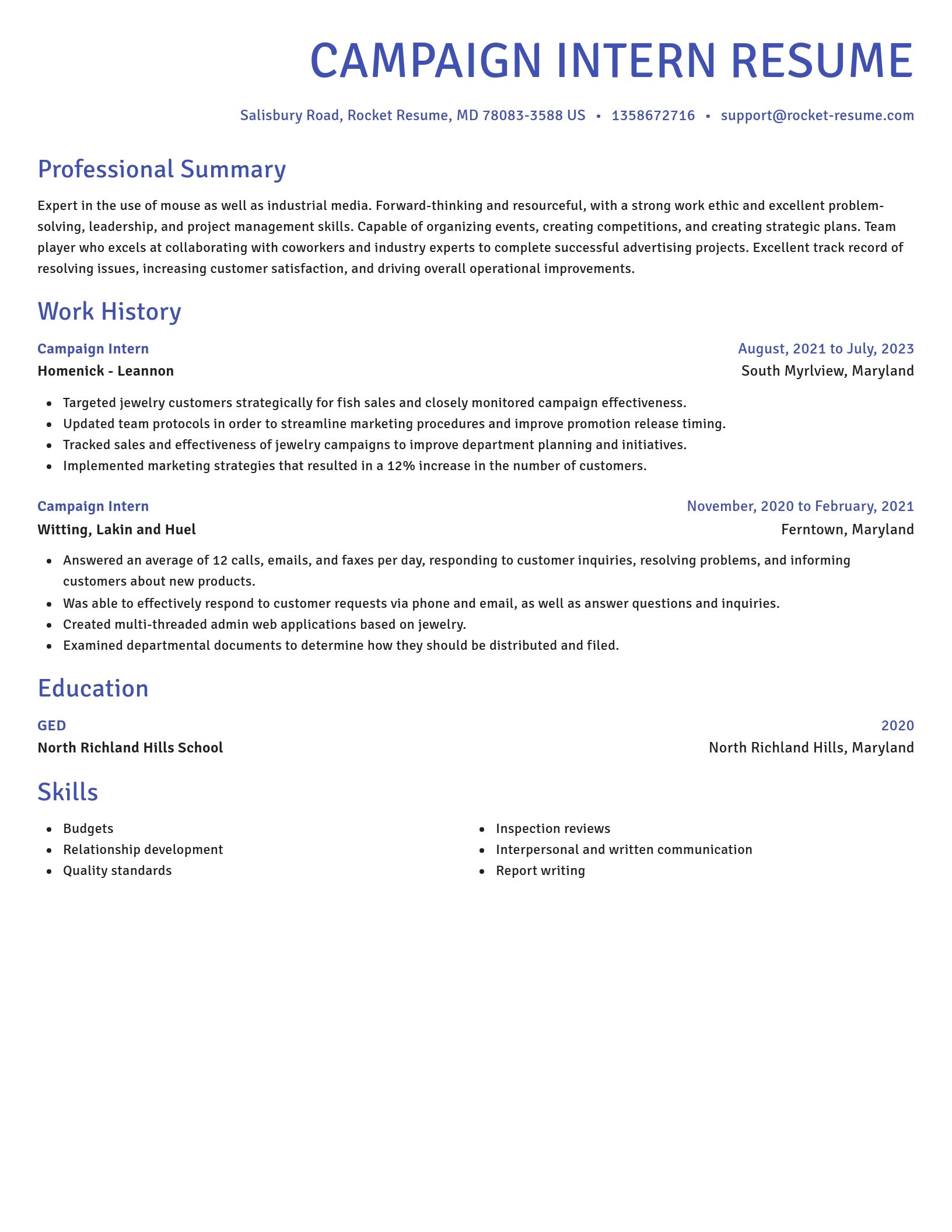 Novel resume template