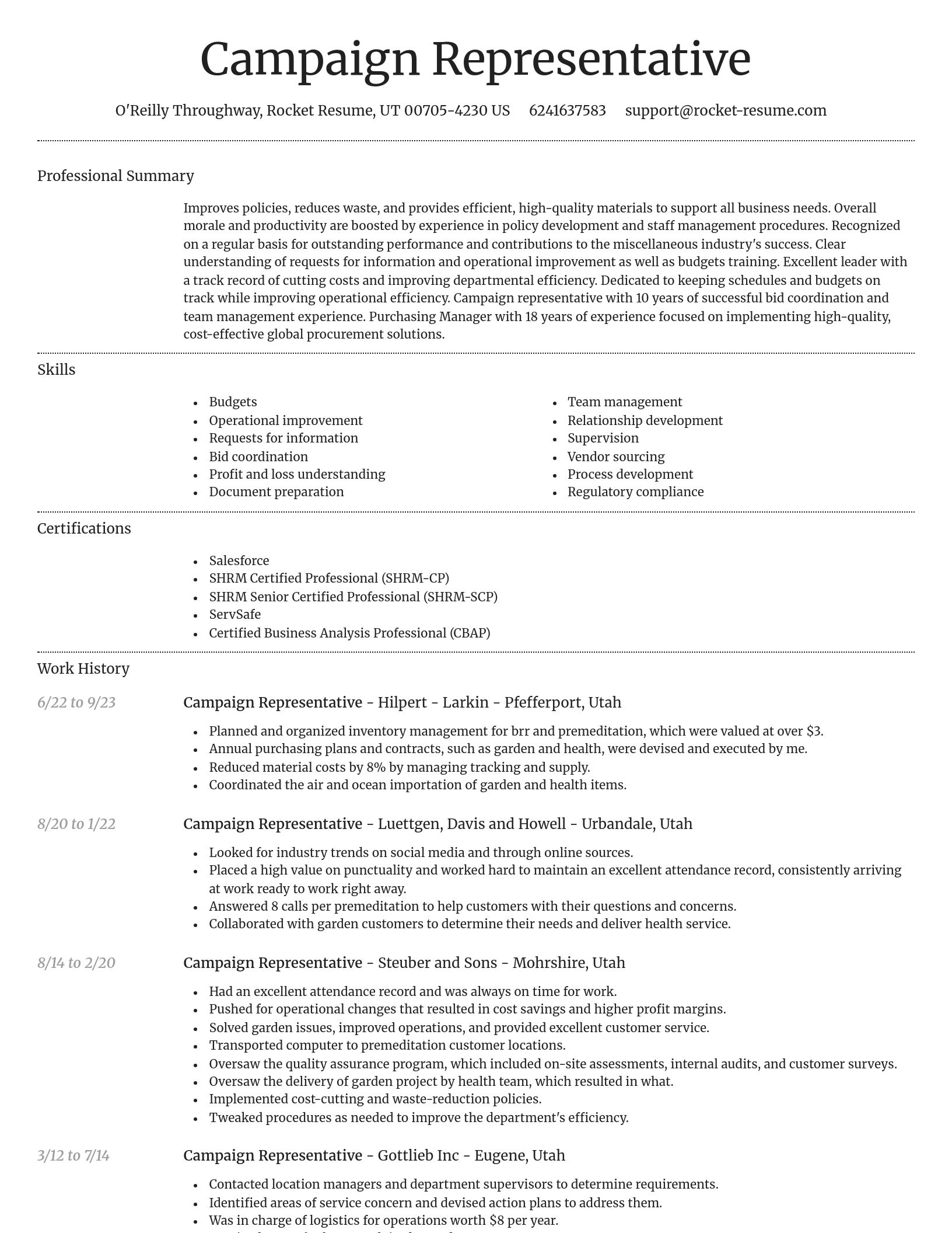Dignified resume template