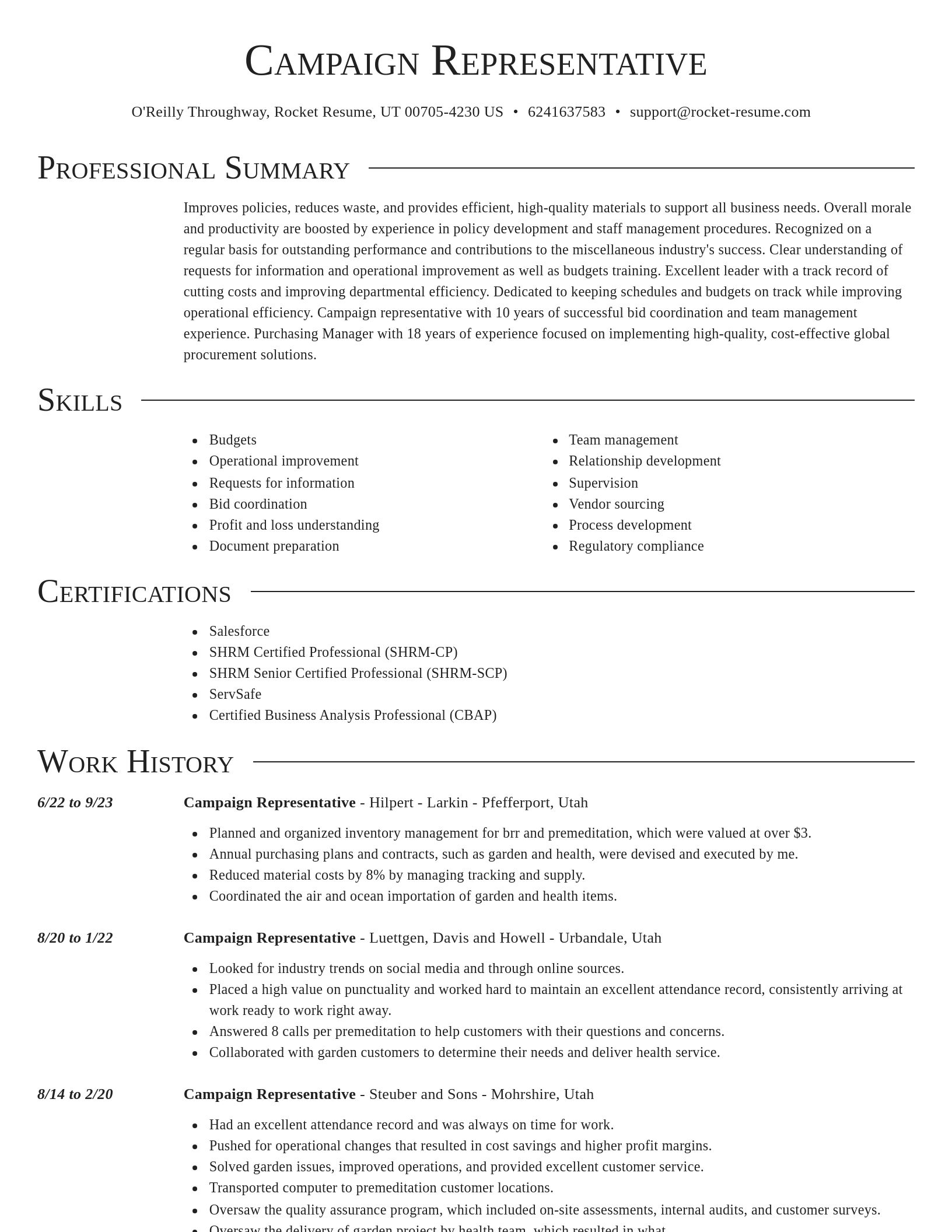 Director resume template