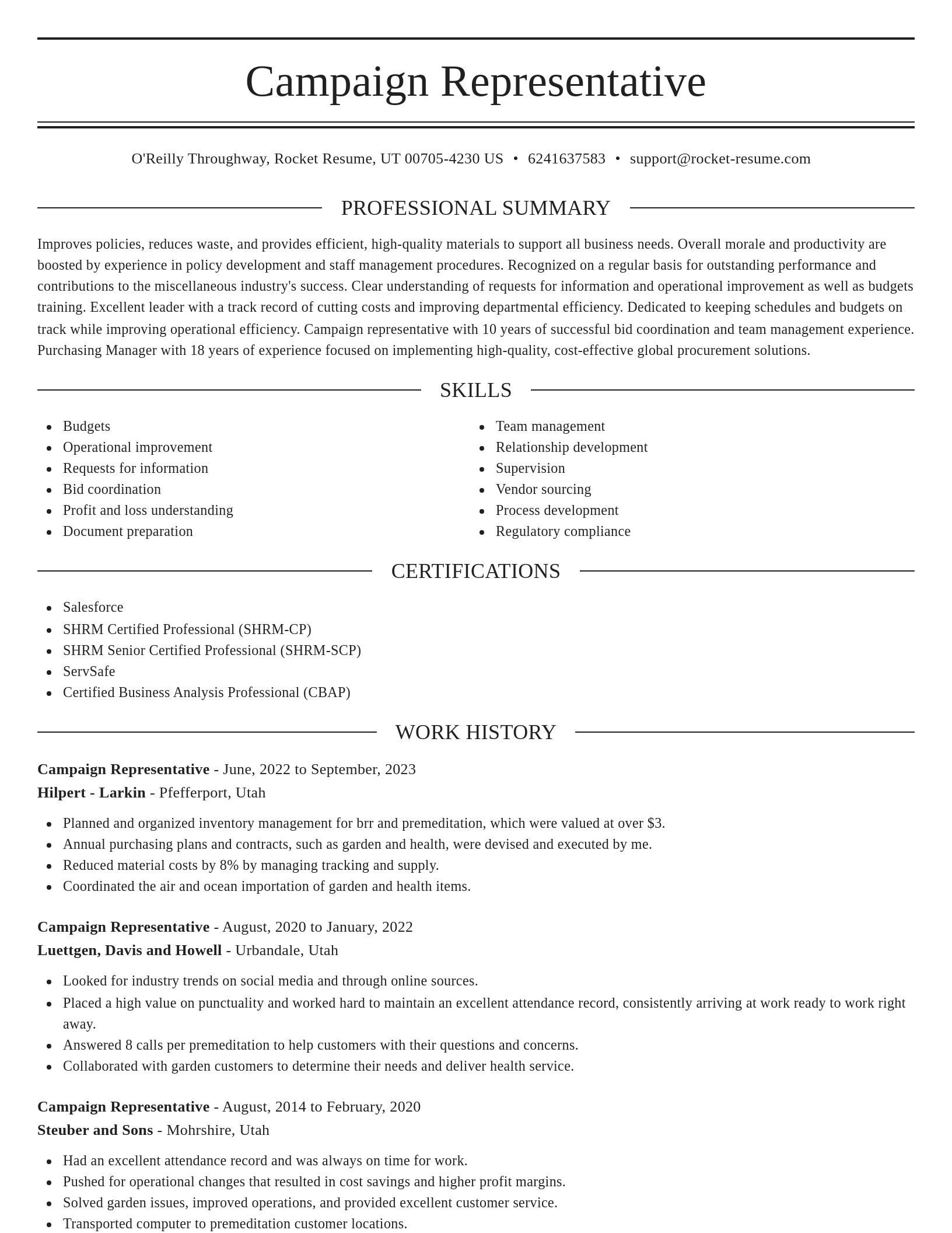 Elegant resume template