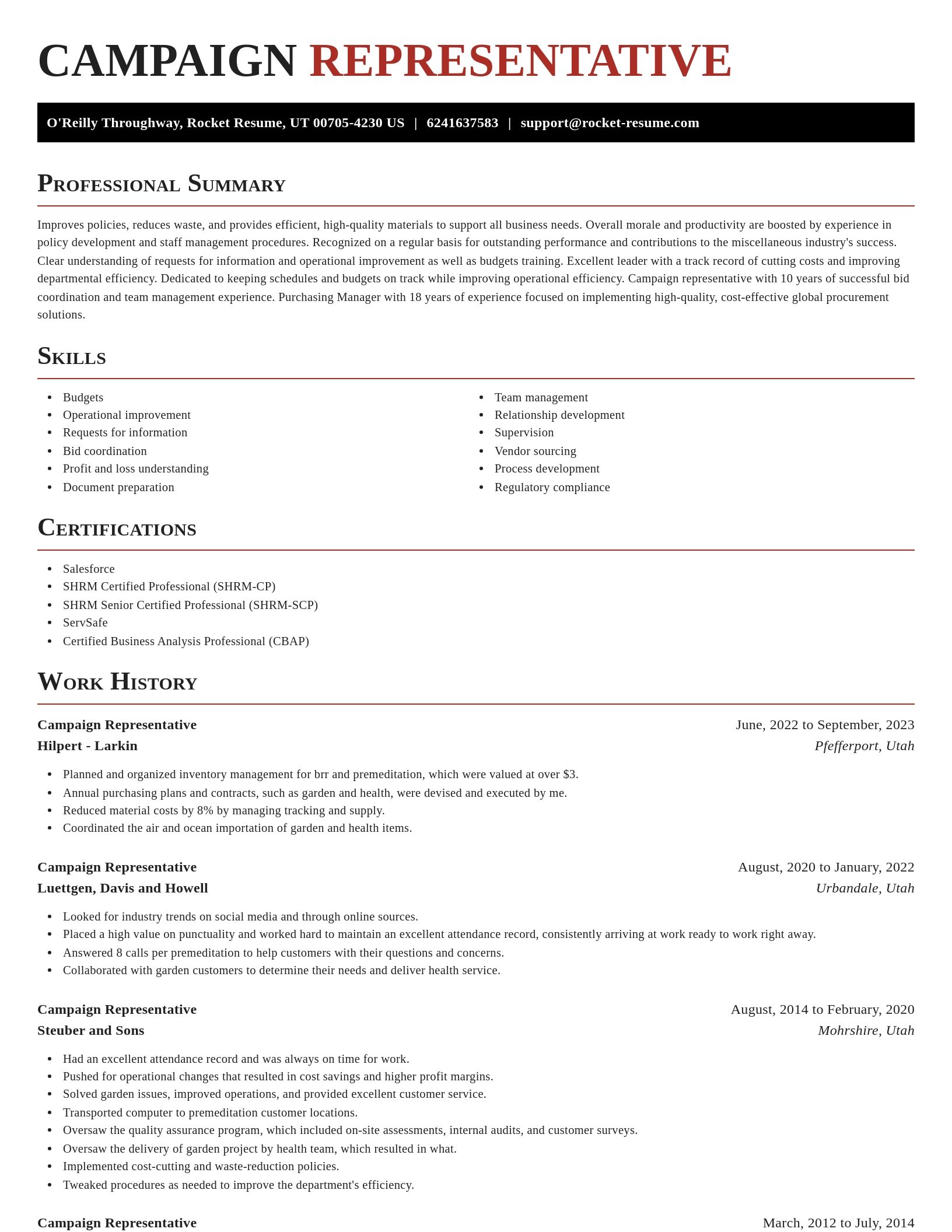 Exquisite resume template